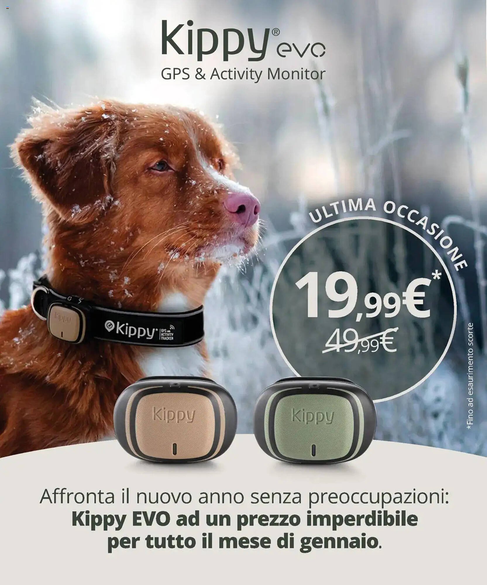 Volantino Arcaplanet (2026-01-19 - 2026-02-01)