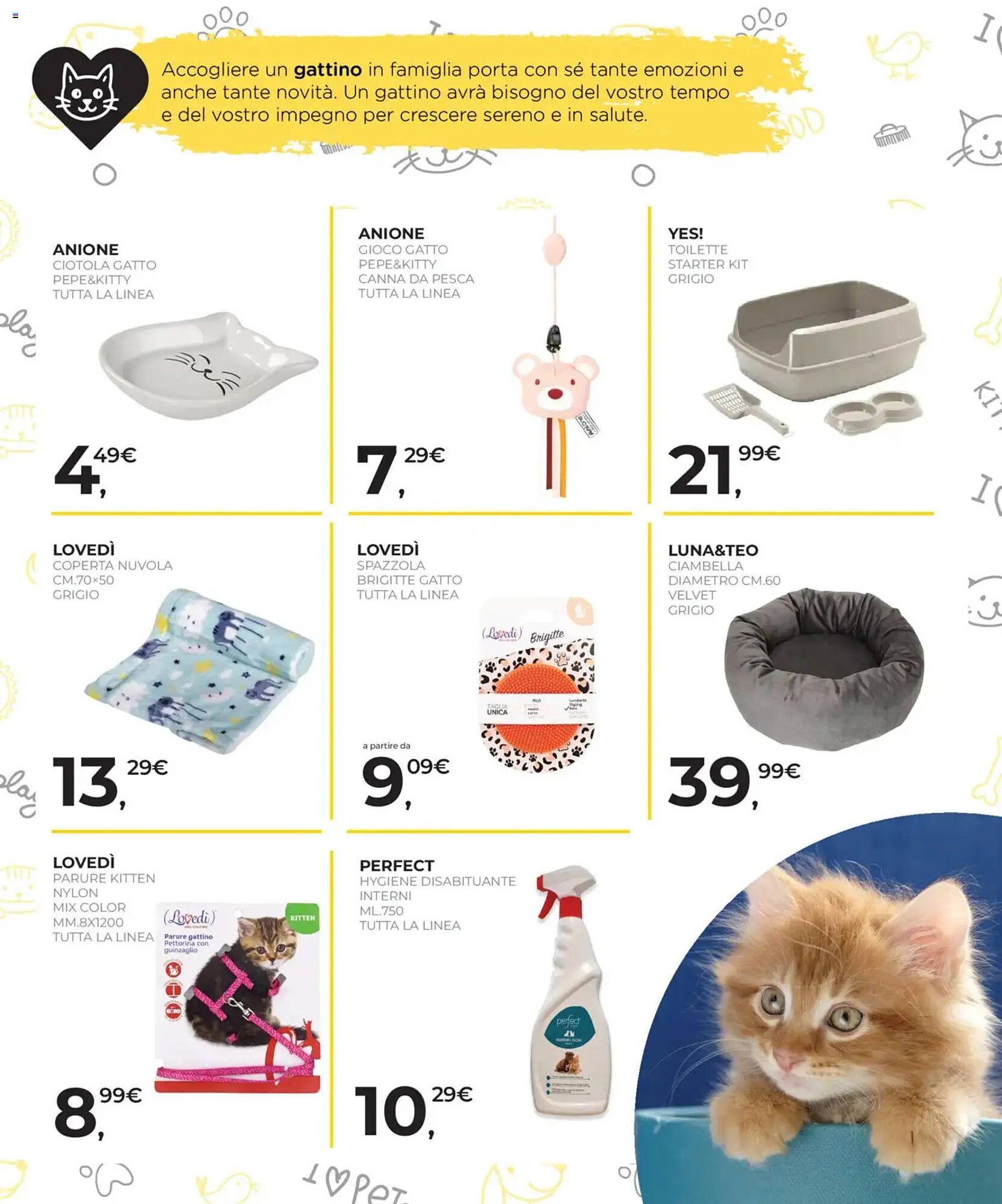 Volantino Arcaplanet (2026-01-19 - 2026-02-01)