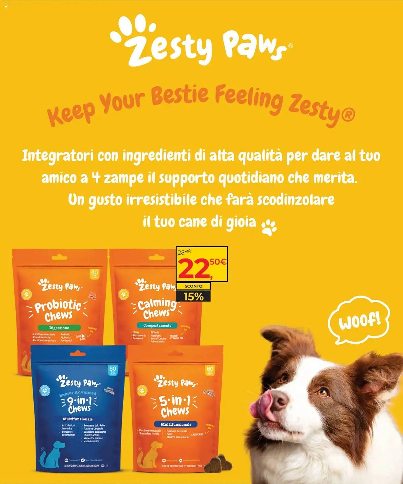 Volantino Arcaplanet (2026-01-19 - 2026-02-01)