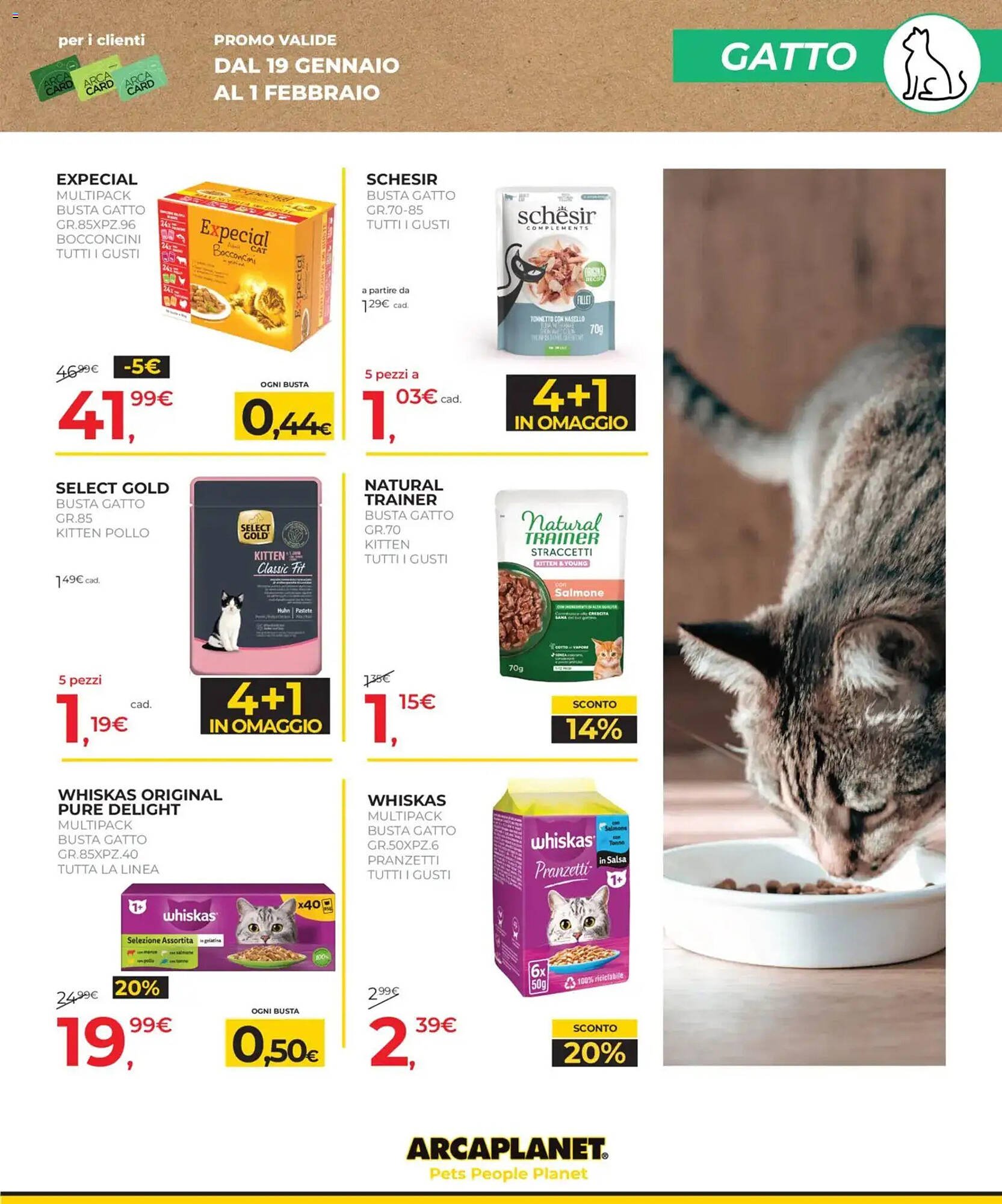 Volantino Arcaplanet (2026-01-19 - 2026-02-01)