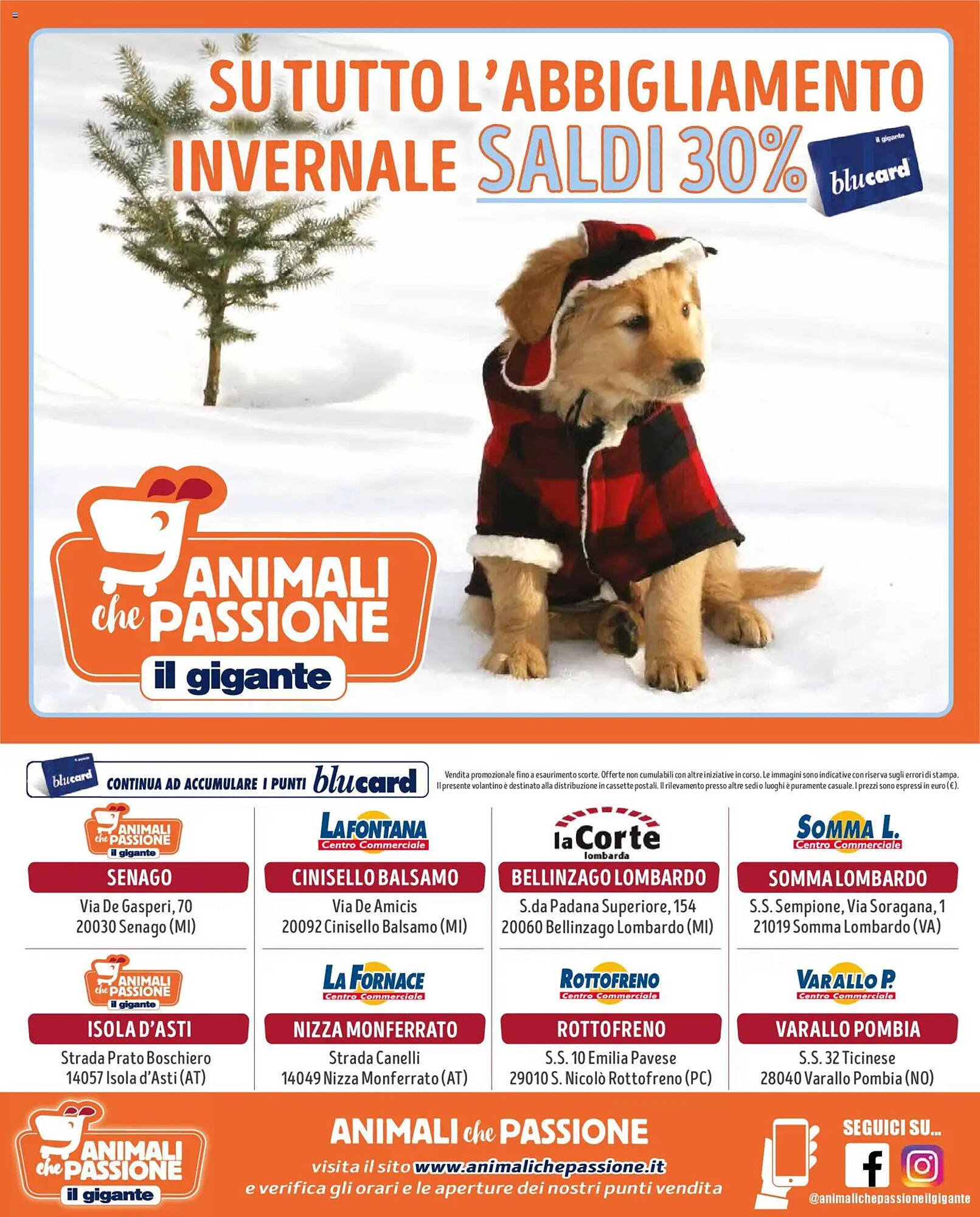 Volantino Il Gigante (2026-01-12 - 2026-02-08)