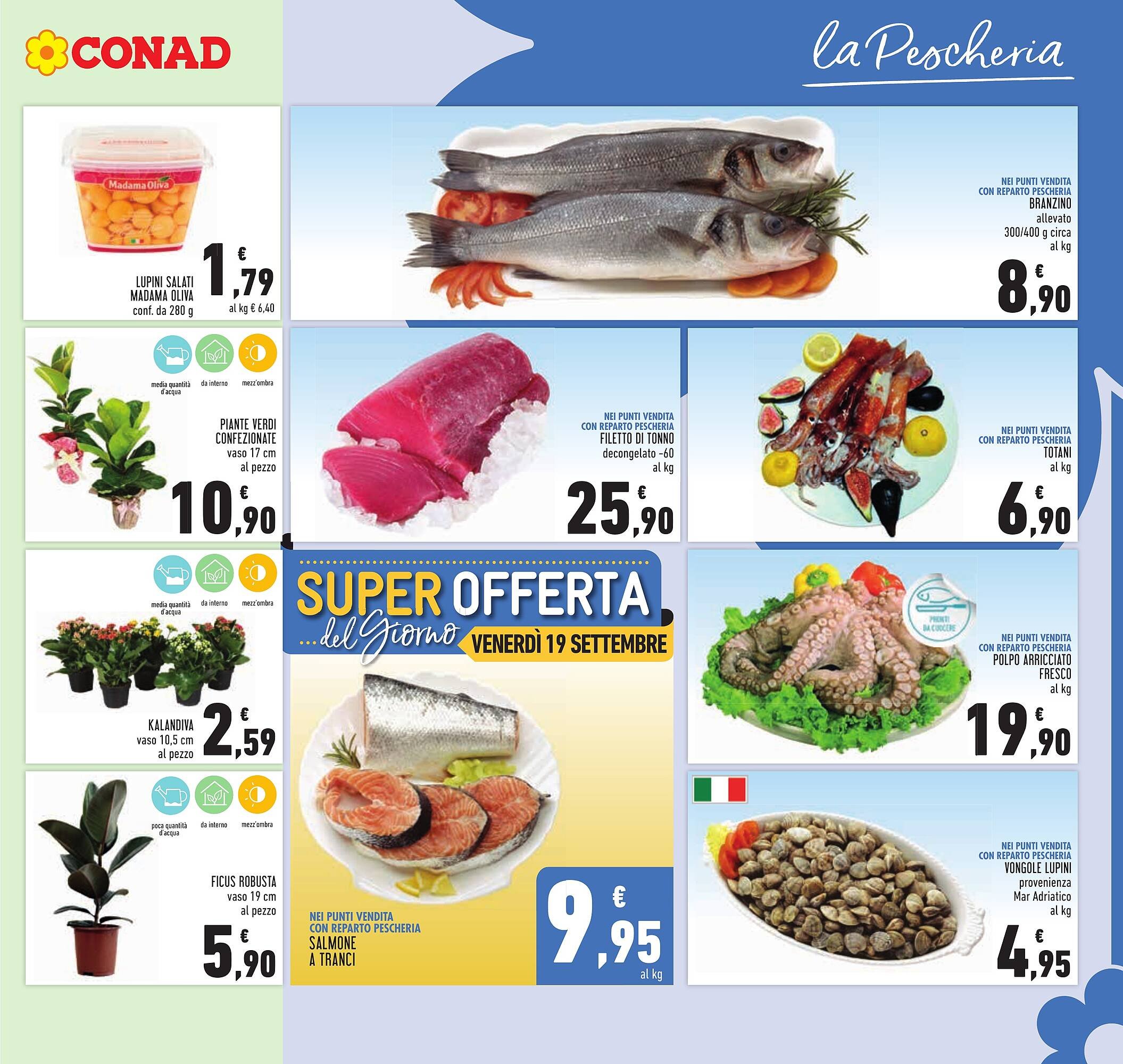 Volantino Conad (2025-09-10 - 2025-09-23)