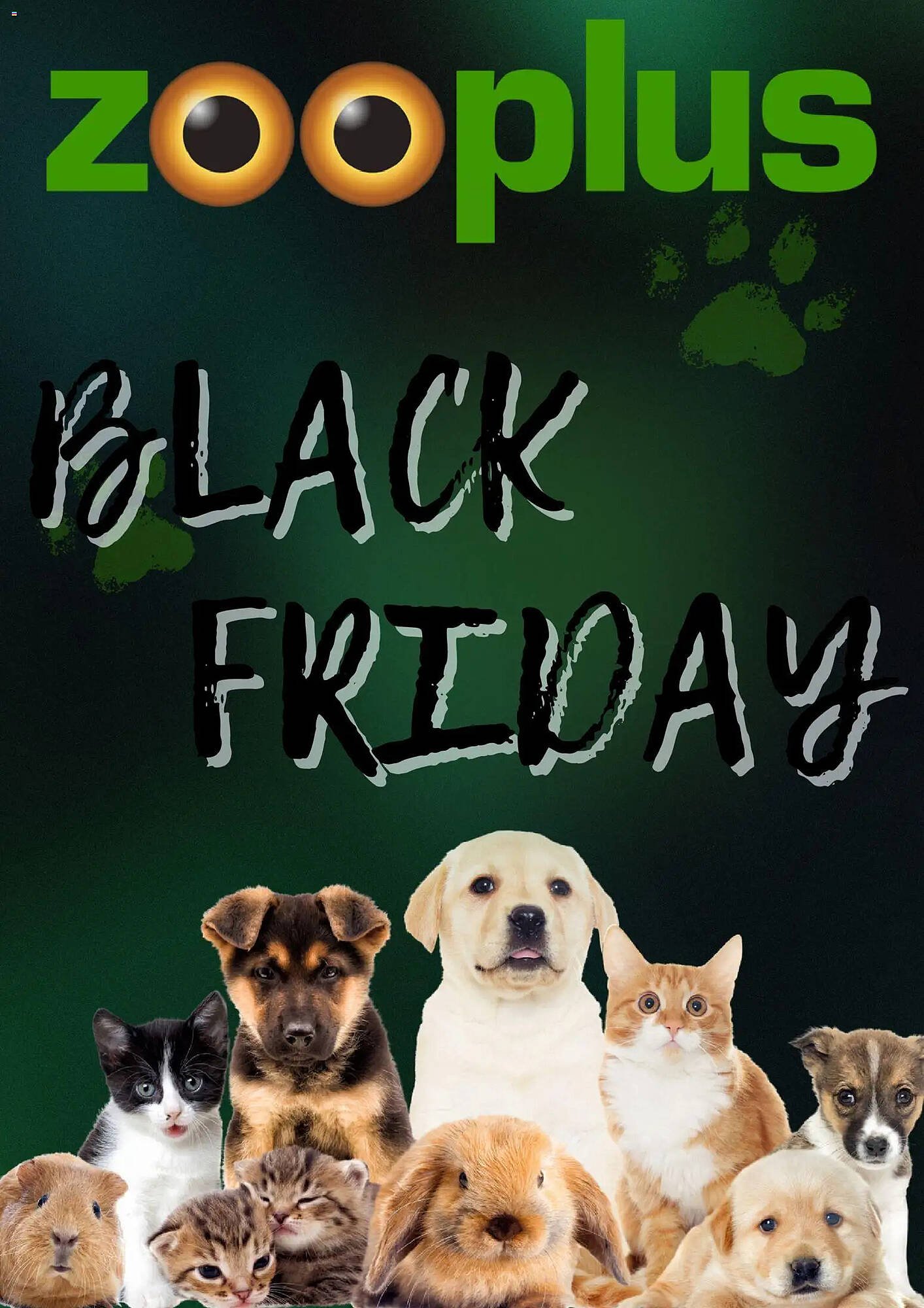 Volantino Zooplus (2025-11-20 - 2025-11-30)