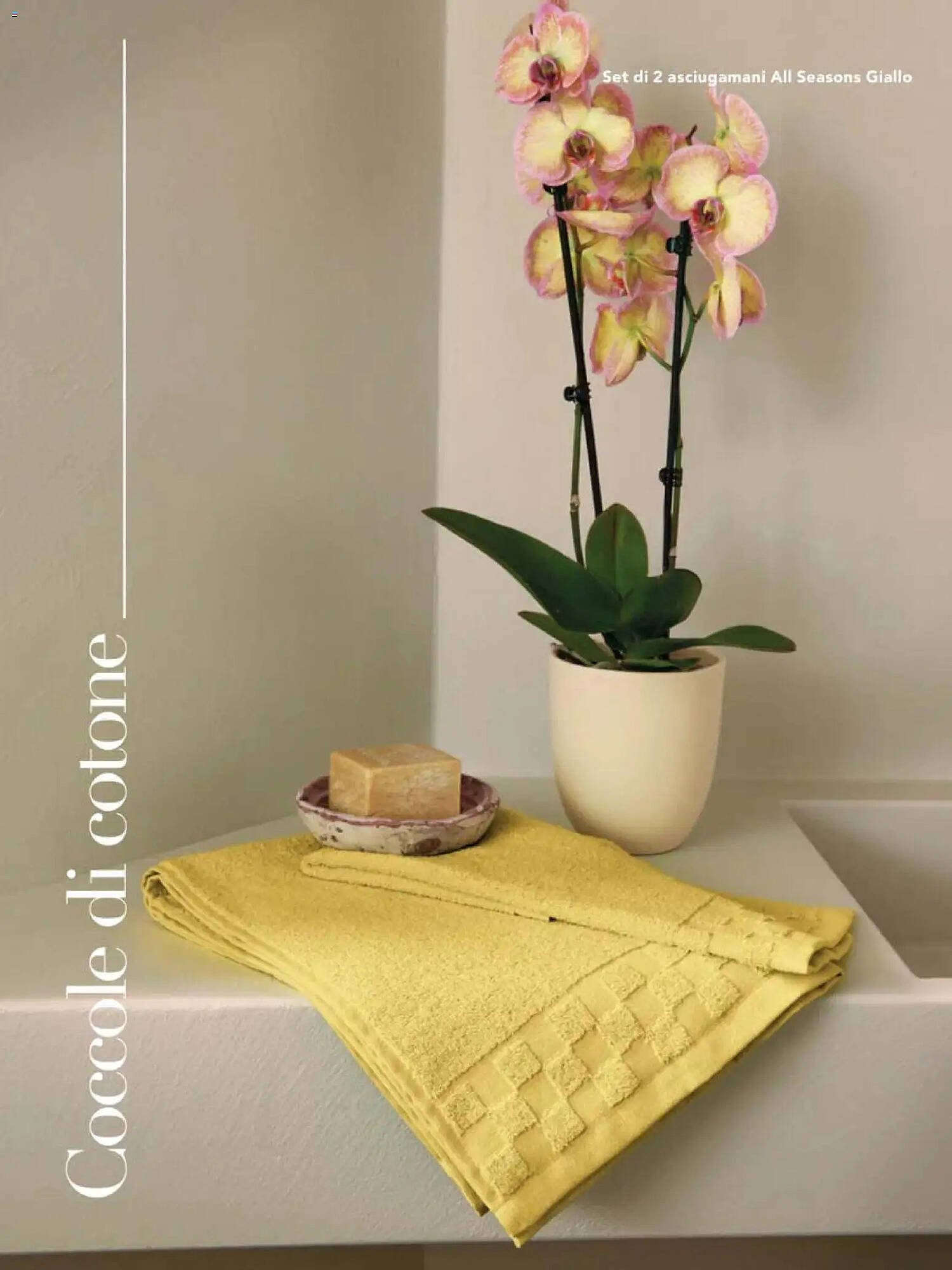 Catalogo Avon (2025-12-31 - 2026-03-31)