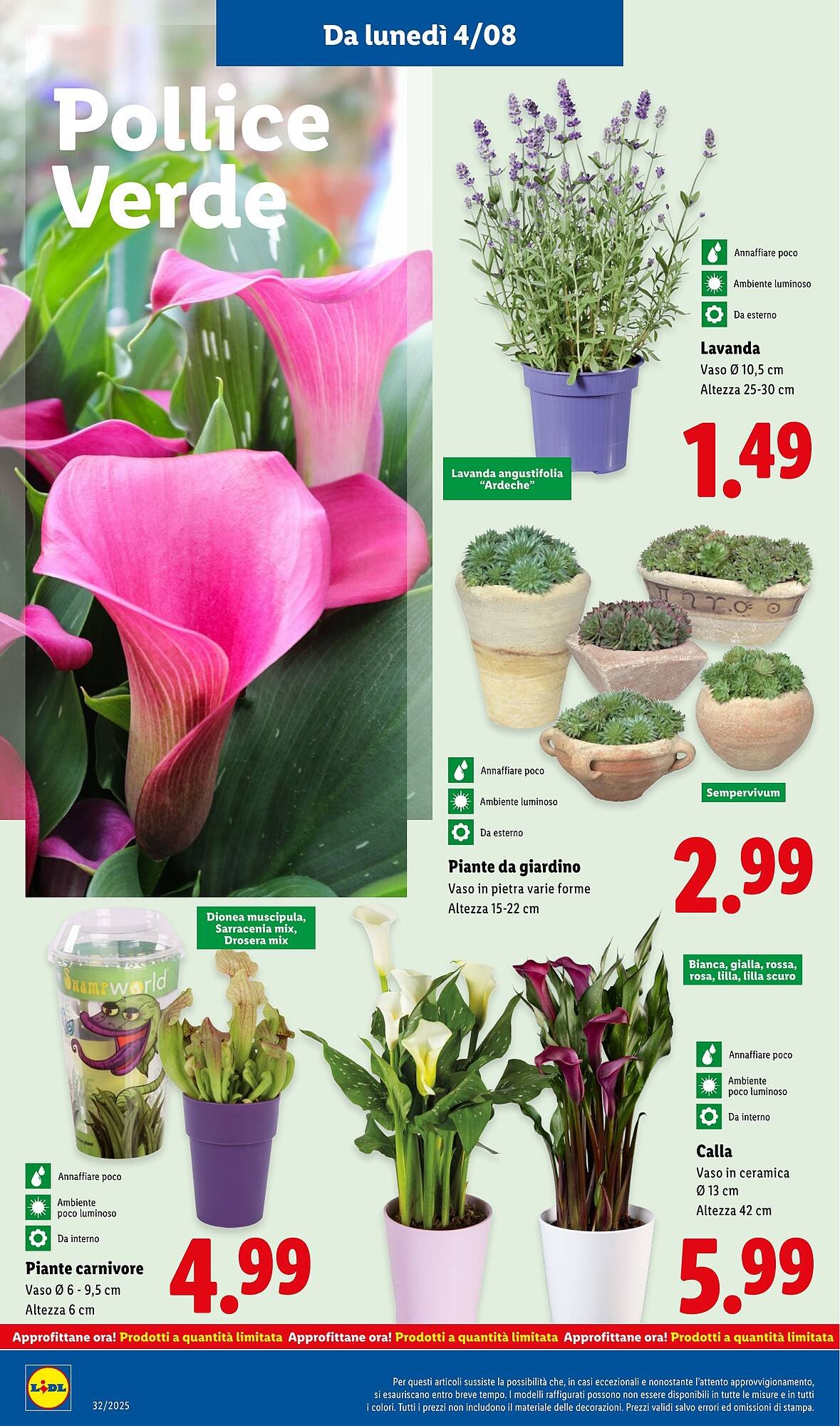 Volantino Lidl (2025-08-04 - 2025-08-10)