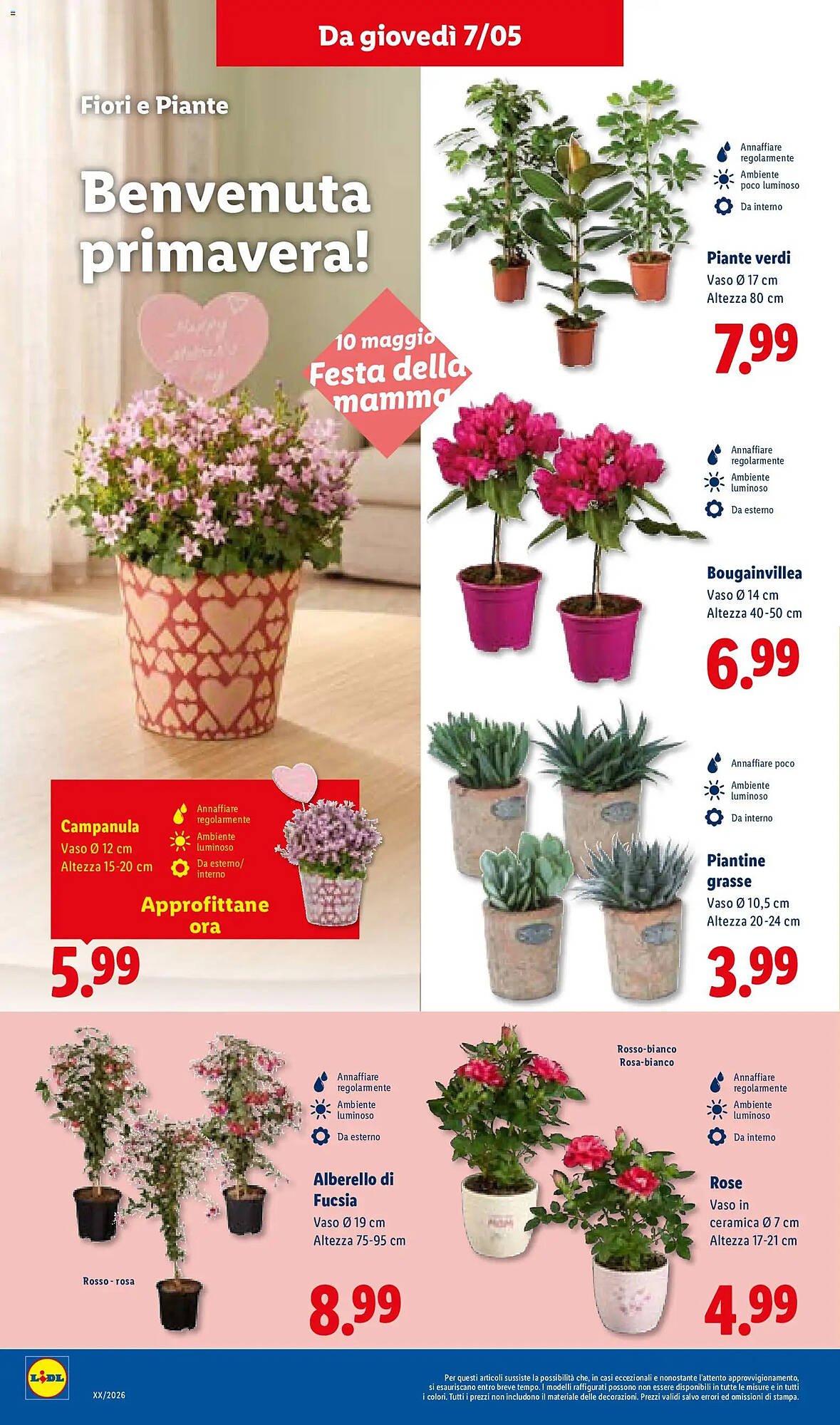 Volantino Lidl (2026-05-07 - 2026-05-13)
