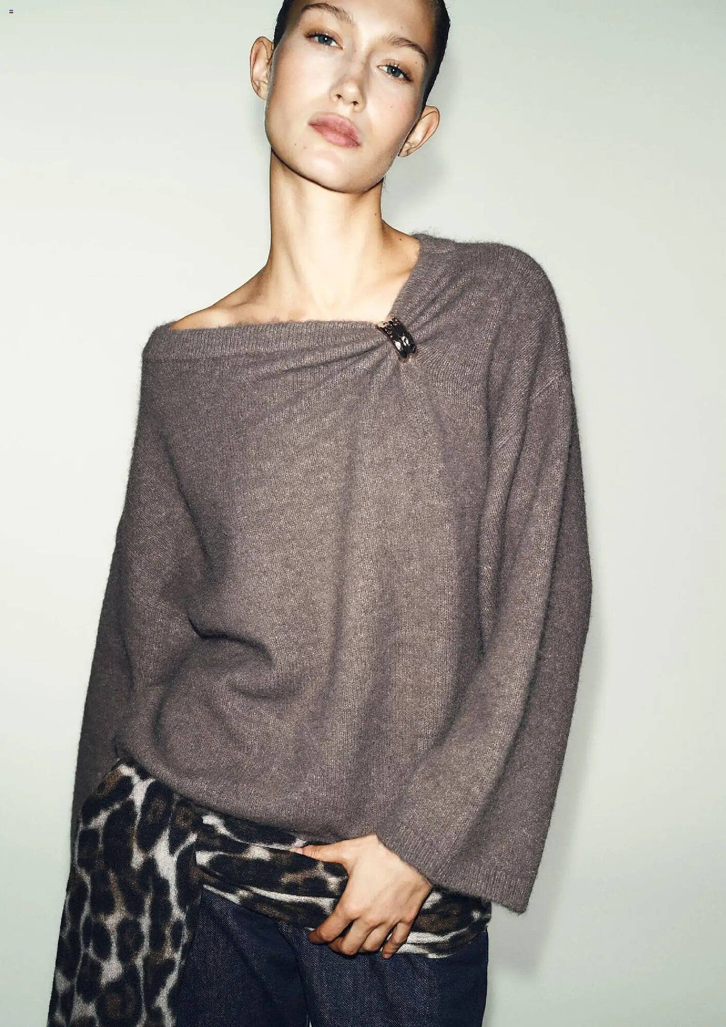 Catalogo ZARA (2026-01-06 - 2026-02-01)