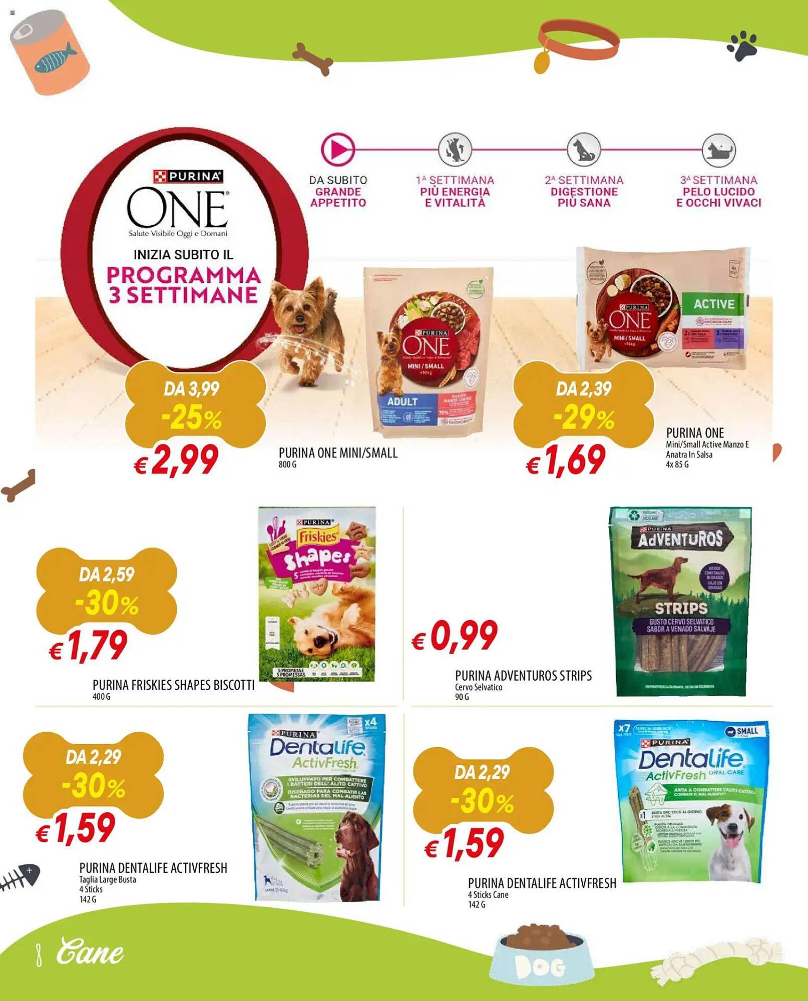 Volantino Galassia (2026-02-02 - 2026-02-25)