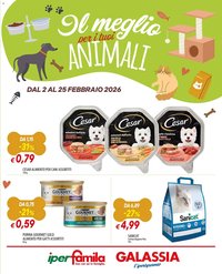 Volantino Galassia (2026-02-02 - 2026-02-25)