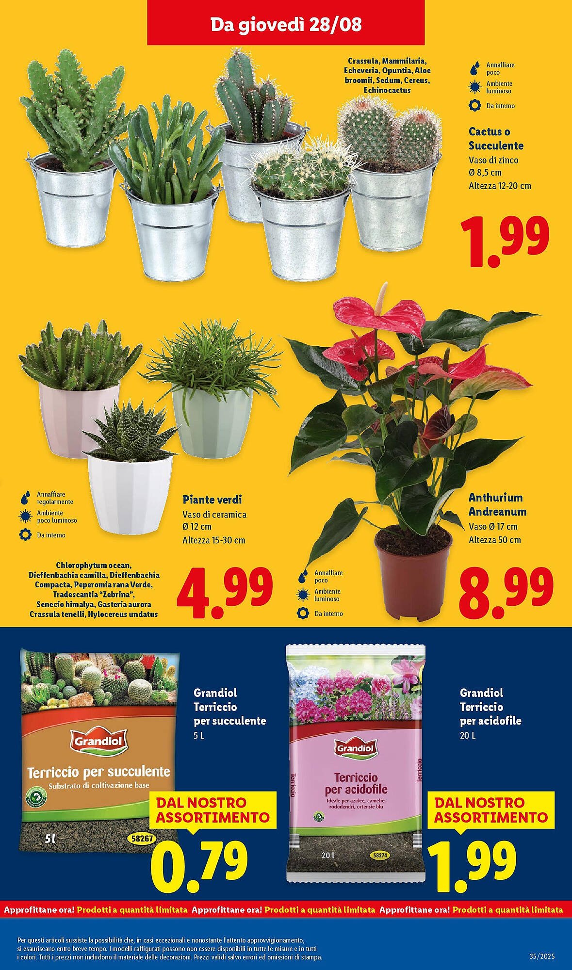 Volantino Lidl (2025-08-25 - 2025-08-31)