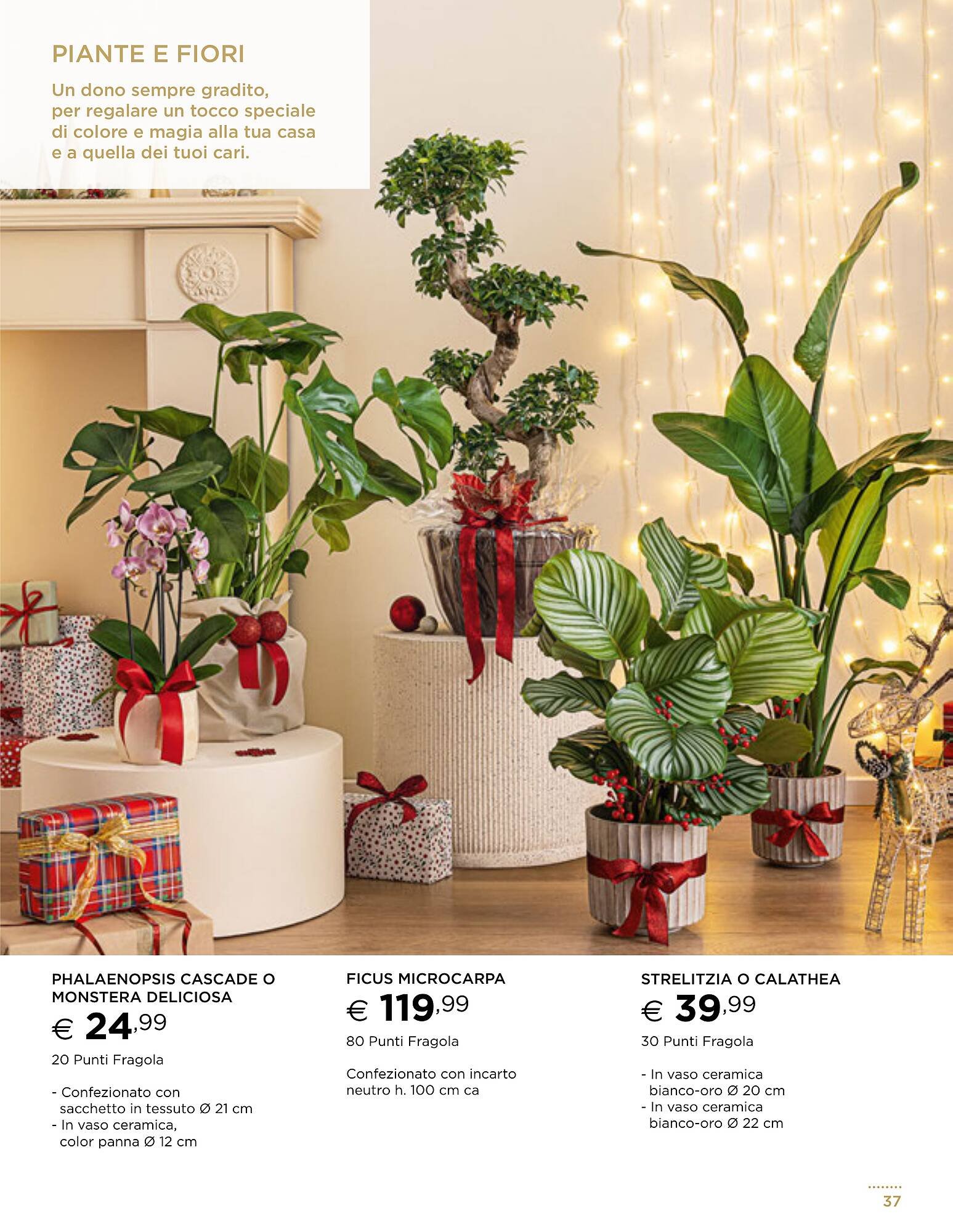 Volantino Esselunga (2025-11-13 - 2025-12-31)