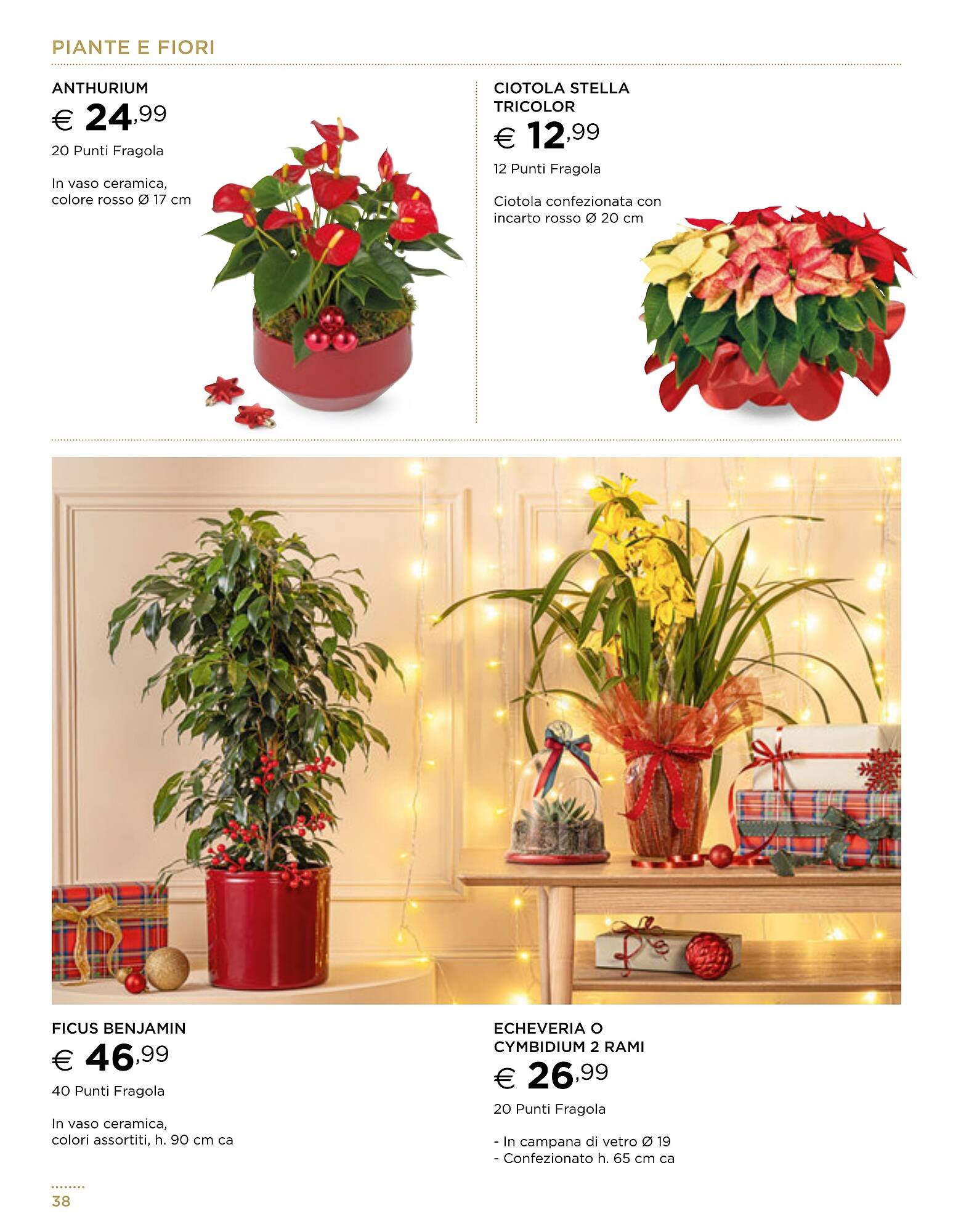 Volantino Esselunga (2025-11-13 - 2025-12-31)