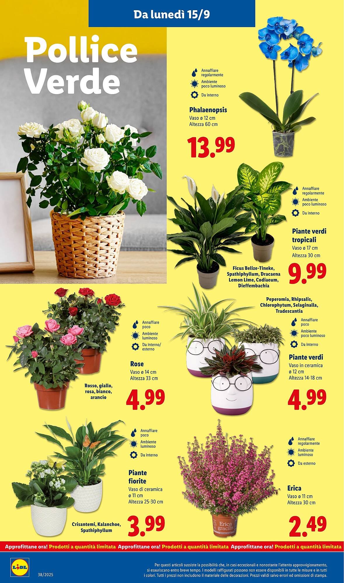 Volantino Lidl (2025-09-15 - 2025-09-21)