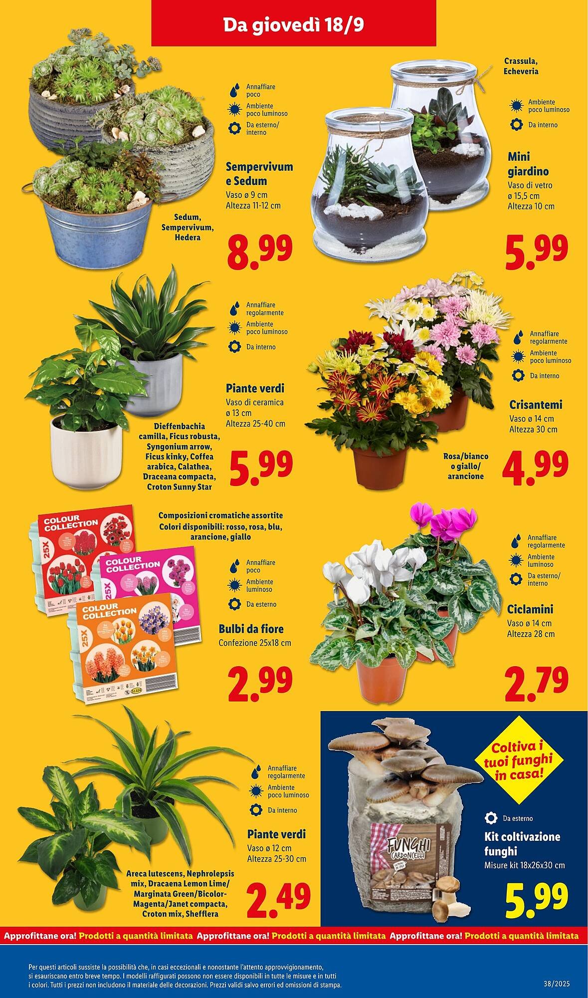 Volantino Lidl (2025-09-15 - 2025-09-21)
