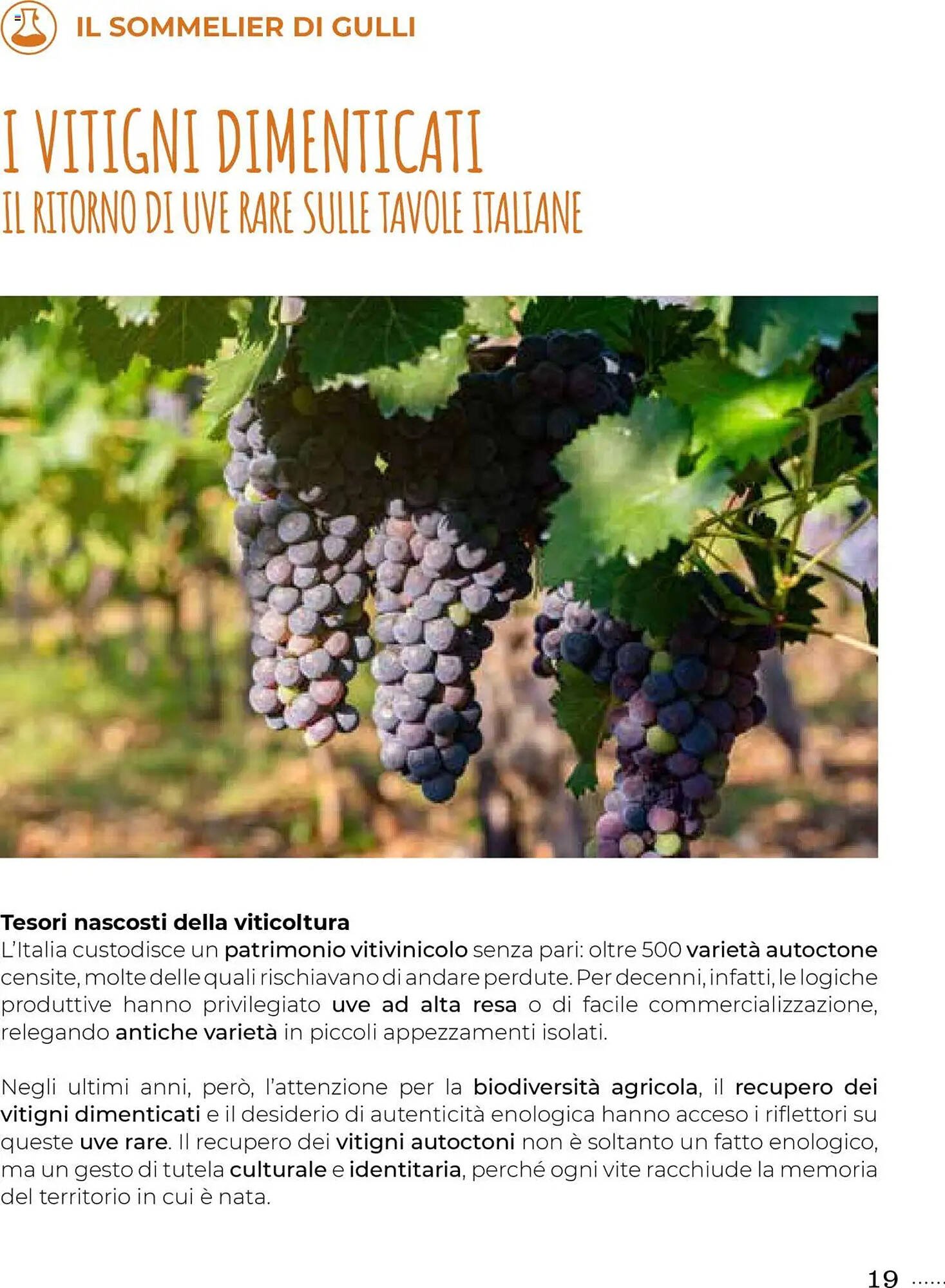 Volantino Supermercati Gulliver (2025-10-01 - 2025-10-31)