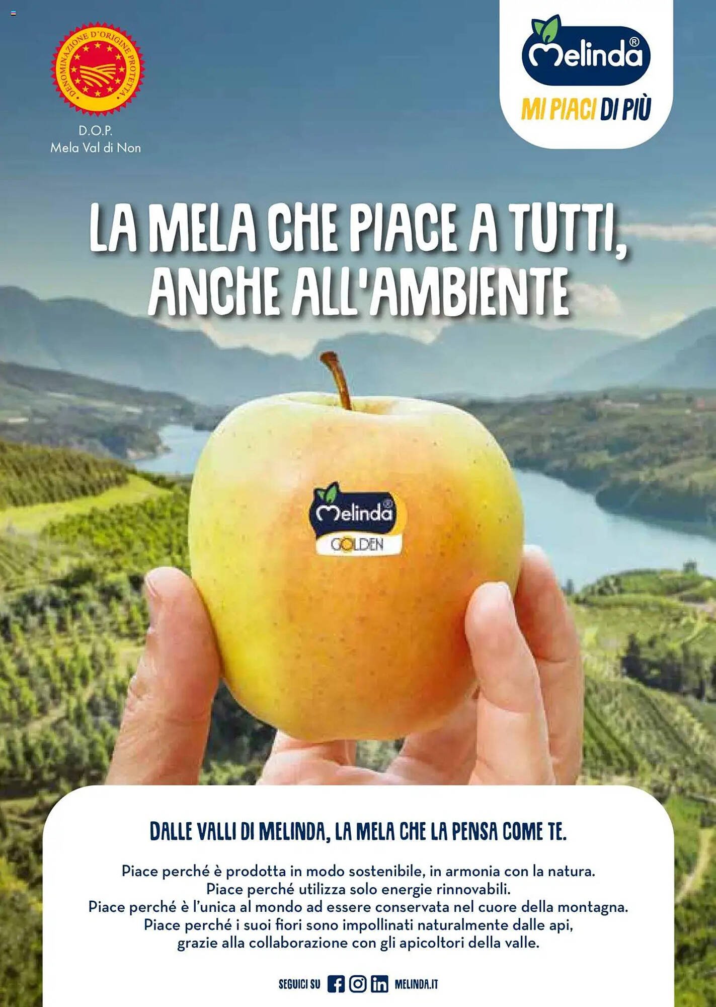 Volantino Supermercati Gulliver (2025-10-01 - 2025-10-31)