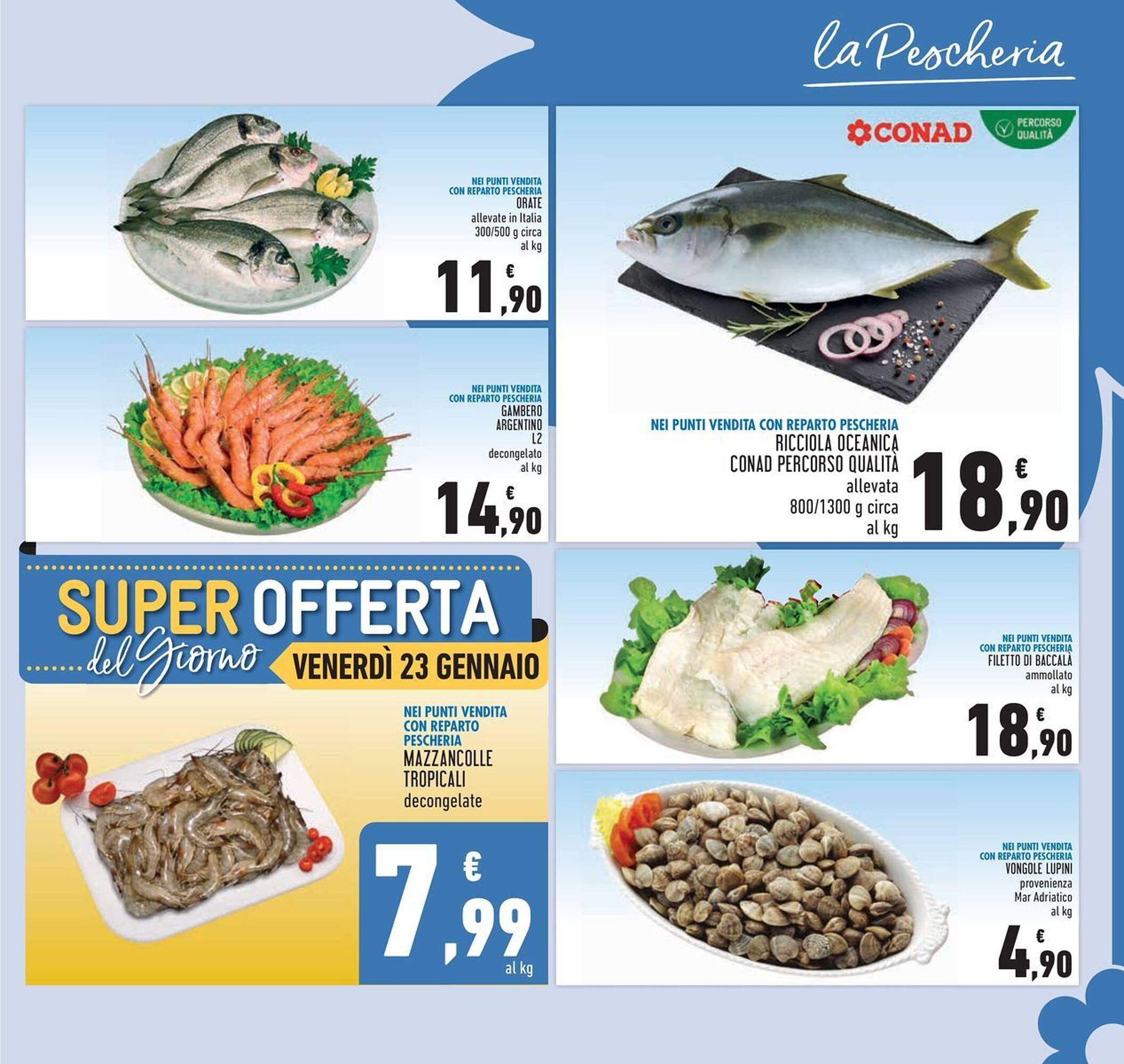 Volantino Conad (2026-01-14 - 2026-01-28)