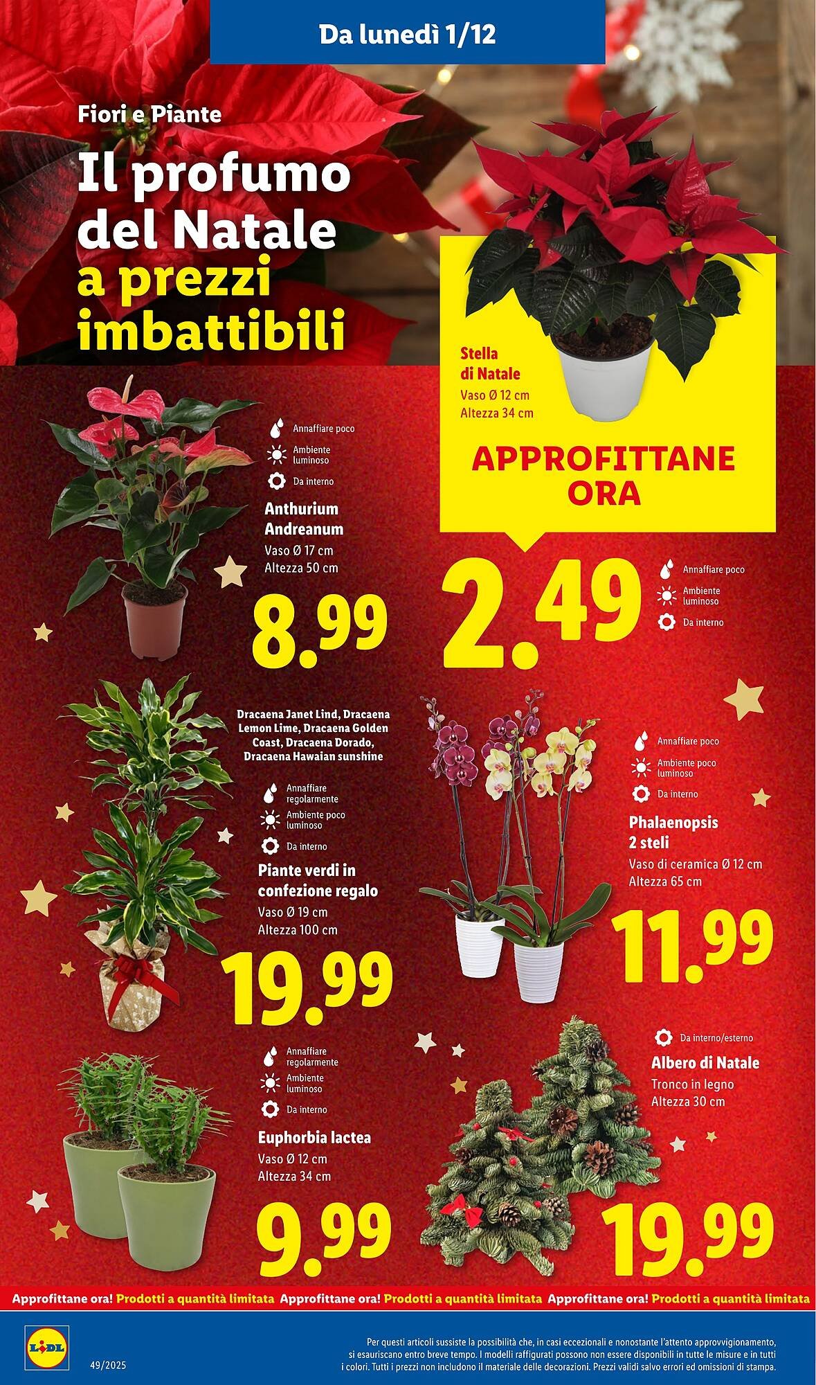 Volantino Lidl (2025-12-01 - 2025-12-07)