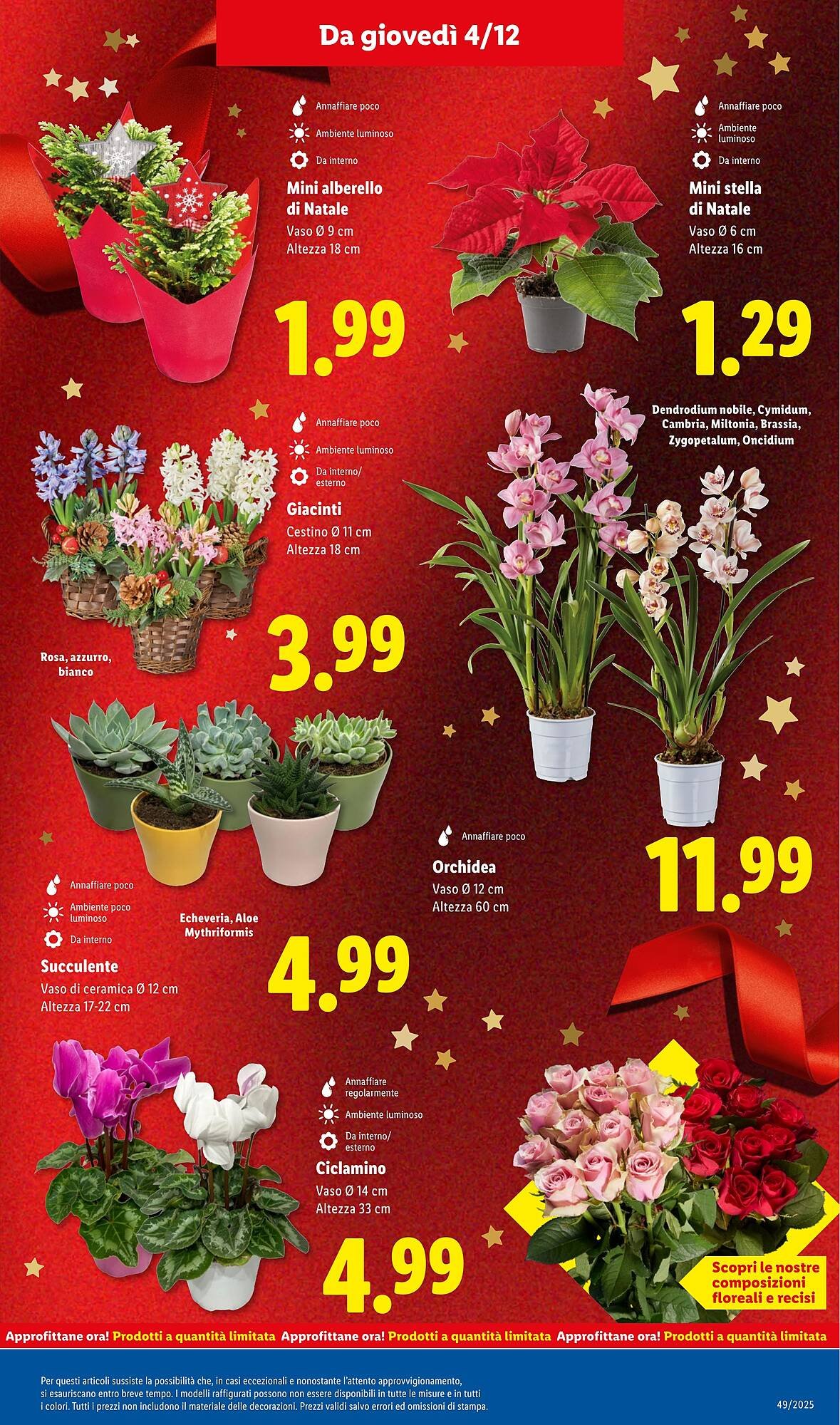 Volantino Lidl (2025-12-01 - 2025-12-07)