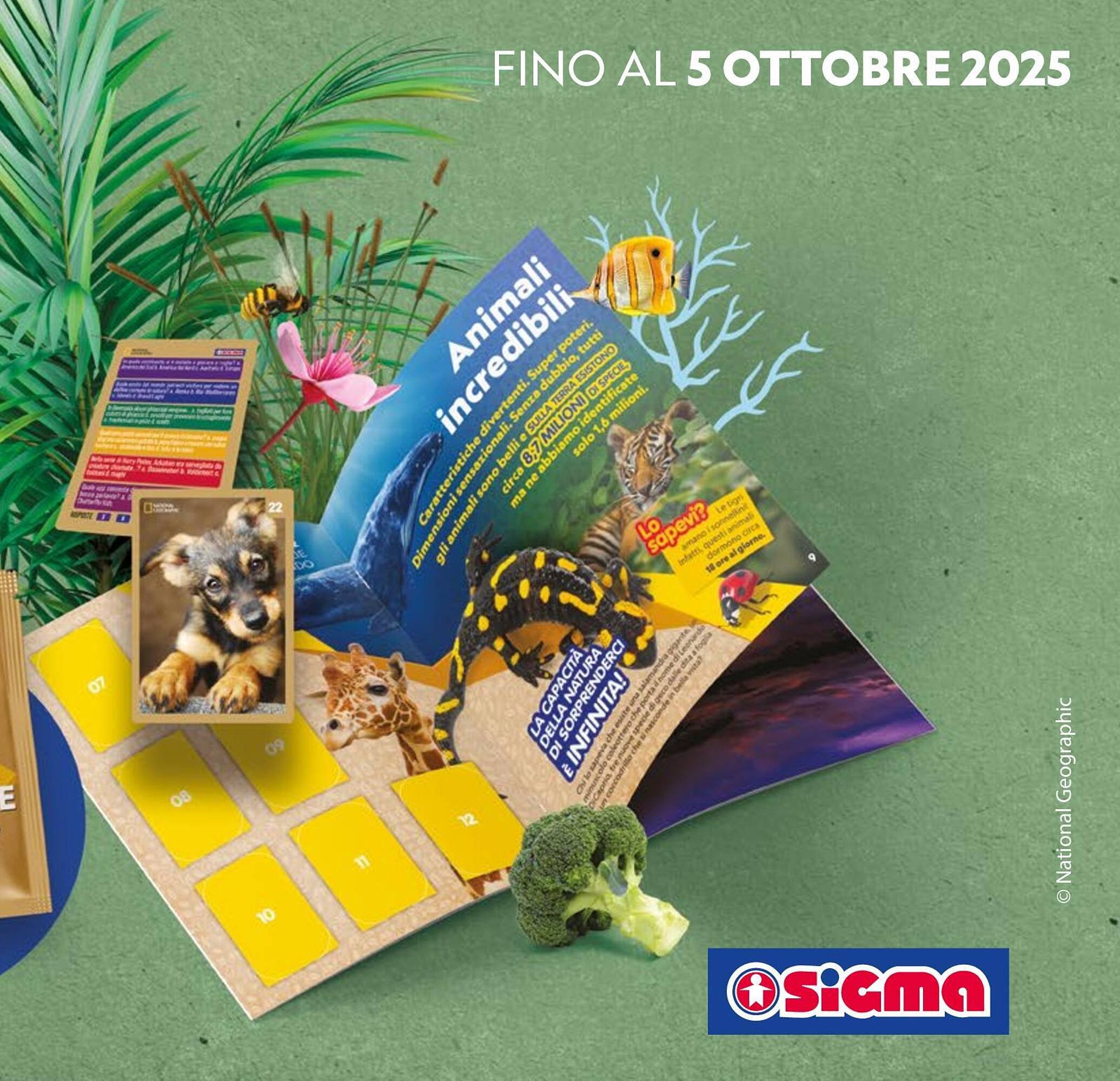Volantino Sigma (2025-09-11 - 2025-09-24)