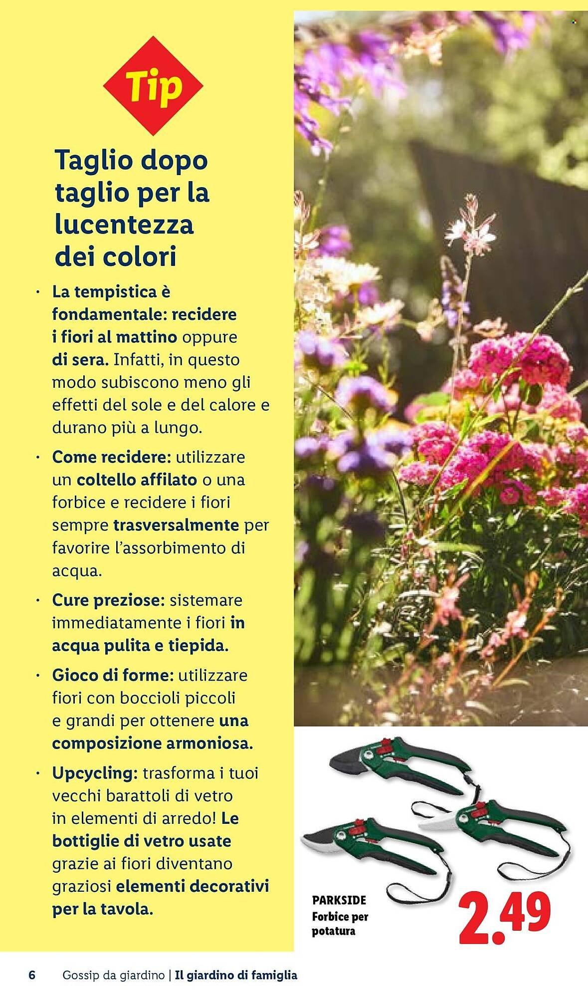 Volantino Lidl (2026-04-22 - 2026-04-30)