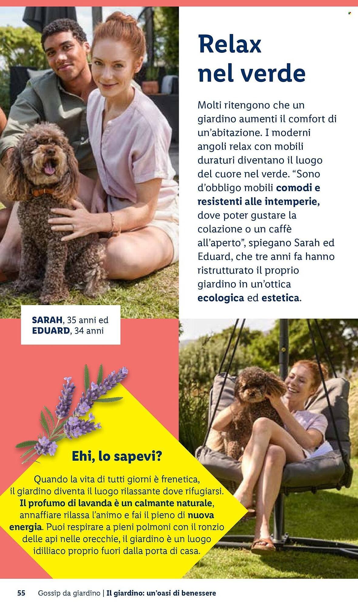 Volantino Lidl (2026-04-22 - 2026-04-30)