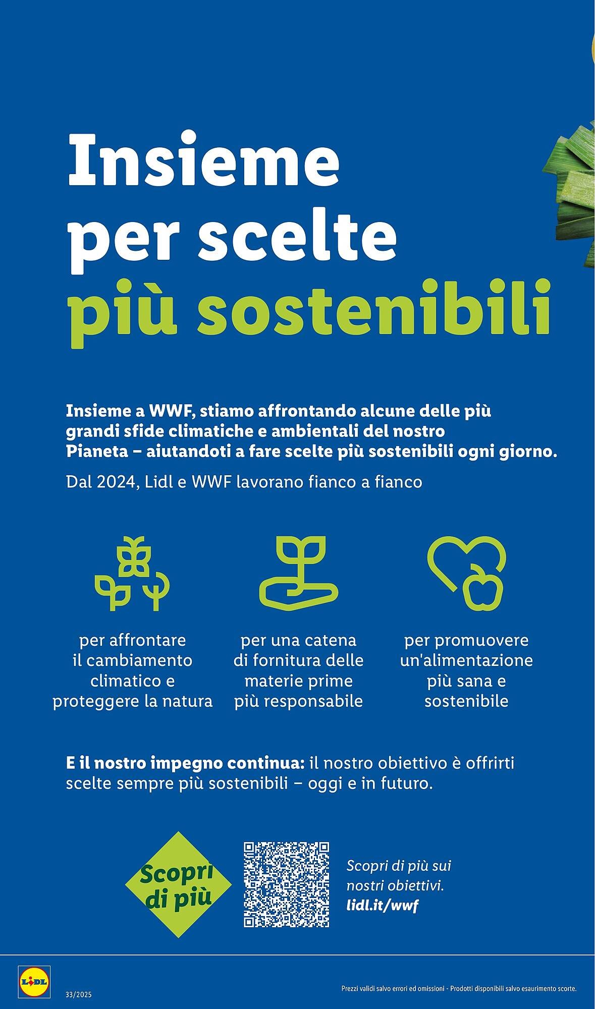 Volantino Lidl (2025-08-11 - 2025-08-17)