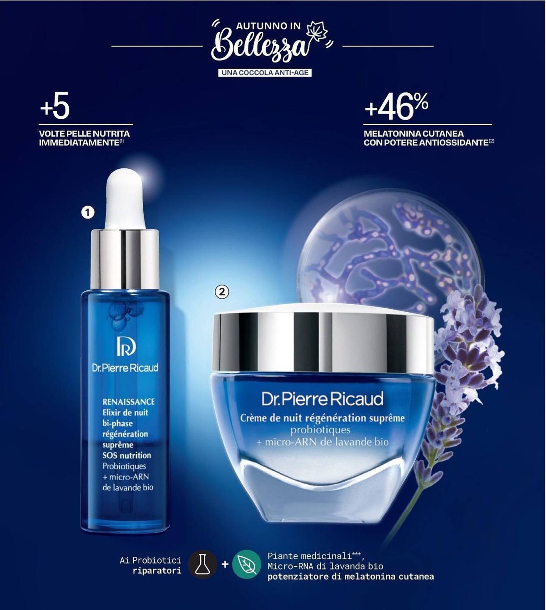 Catalogo Stanhome (2025-10-21 - 2025-11-07)