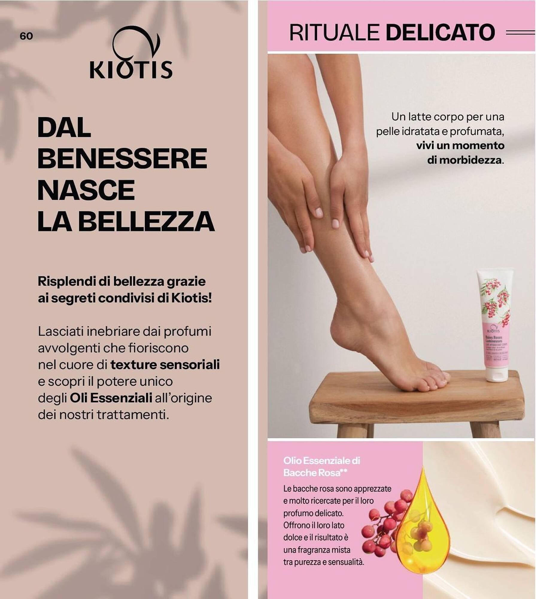 Catalogo Stanhome (2025-10-21 - 2025-11-07)