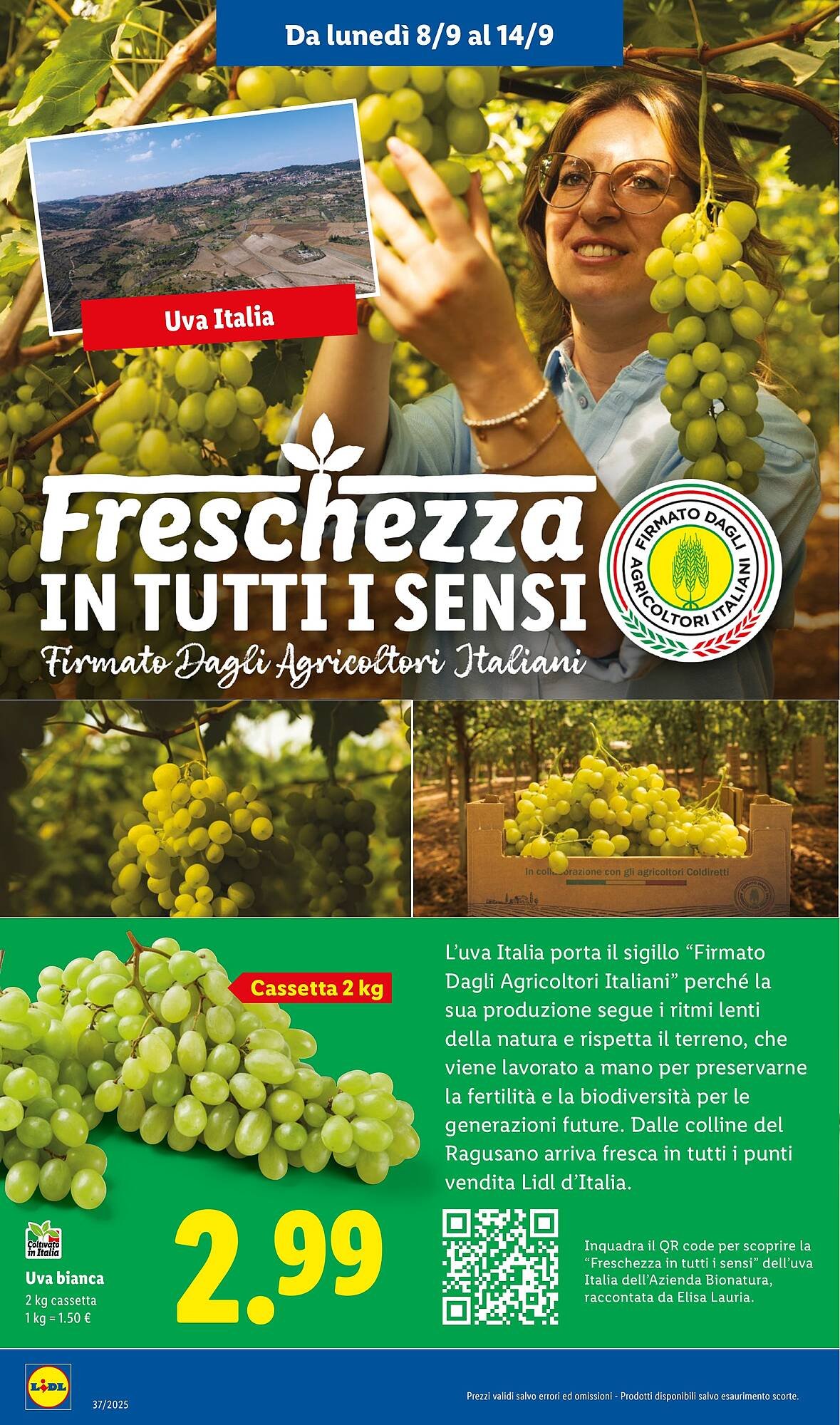 Volantino Lidl (2025-09-08 - 2025-09-14)