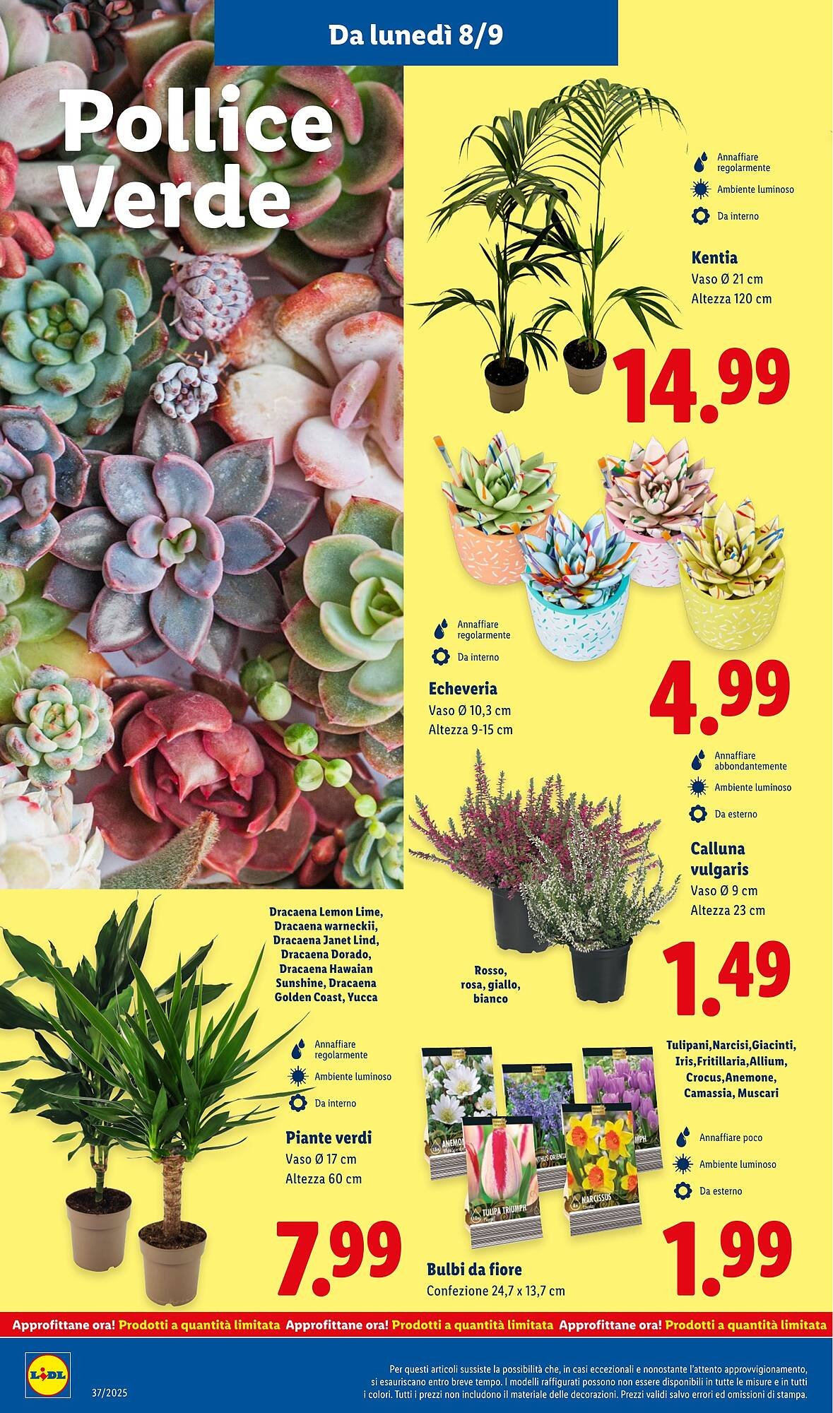 Volantino Lidl (2025-09-08 - 2025-09-14)