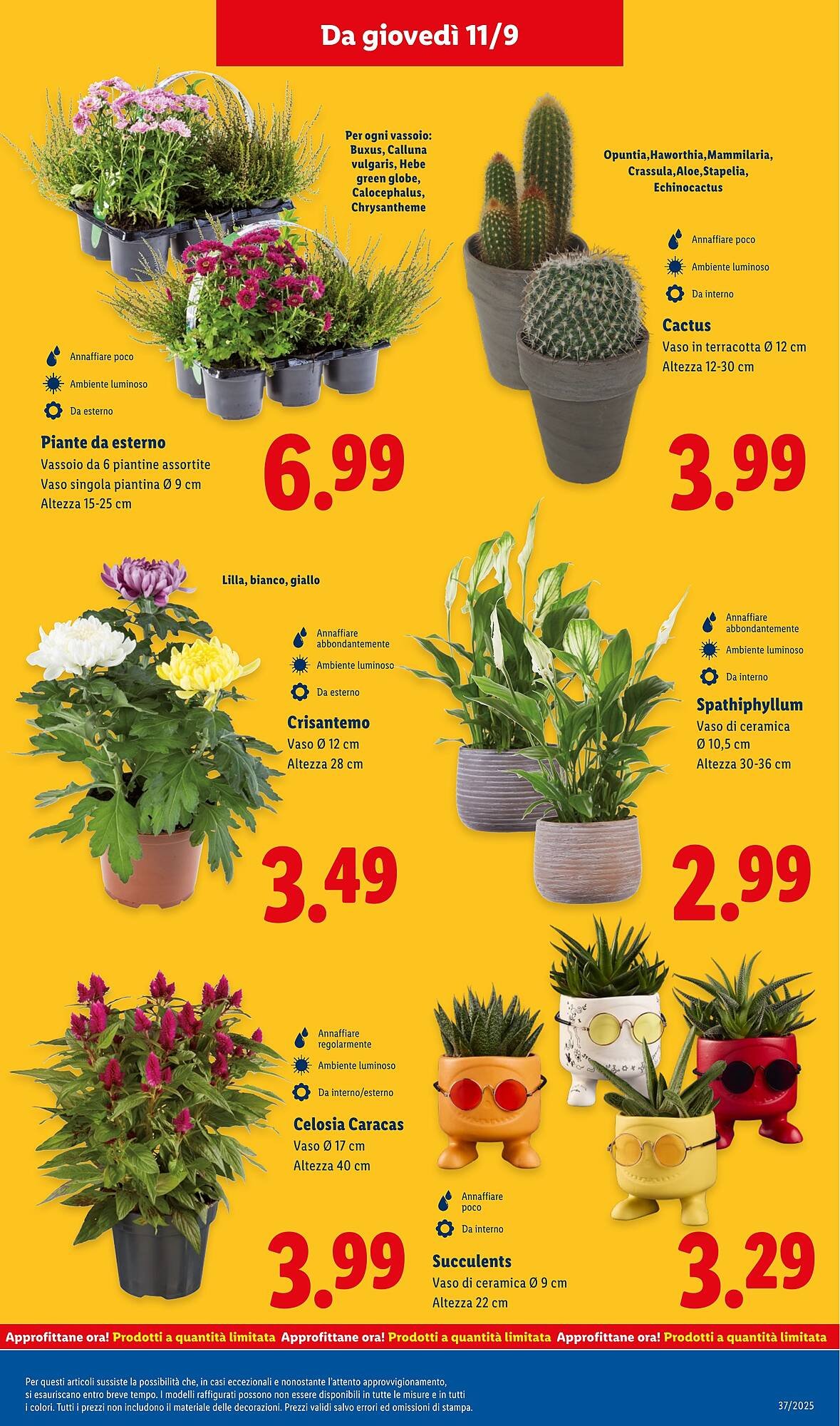 Volantino Lidl (2025-09-08 - 2025-09-14)