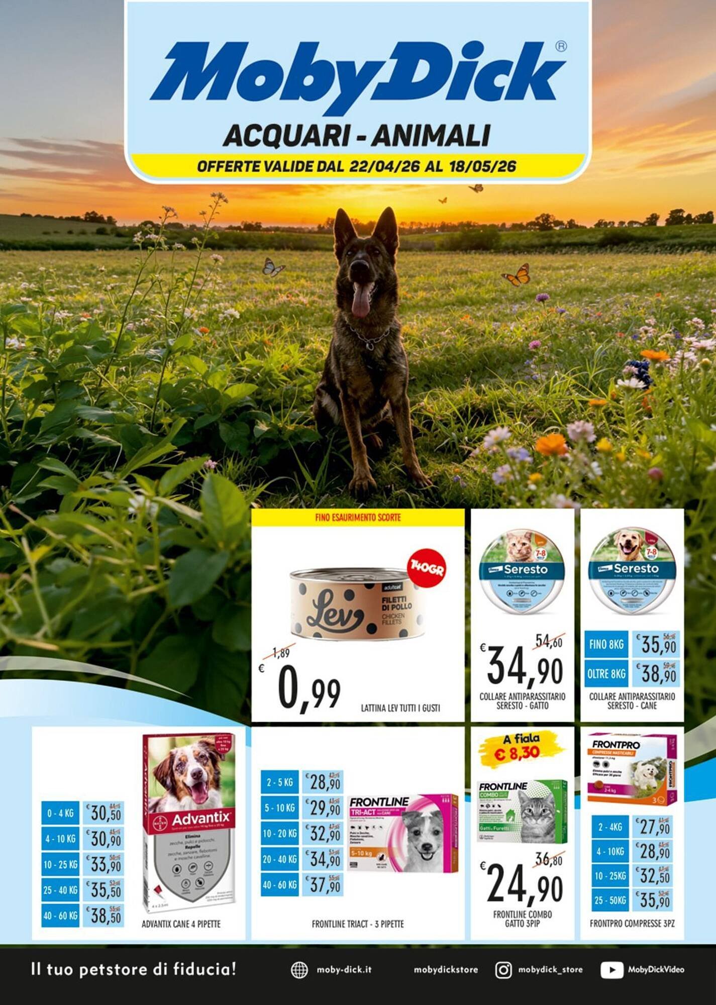 Volantino Moby Dick (2026-04-22 - 2026-05-18)