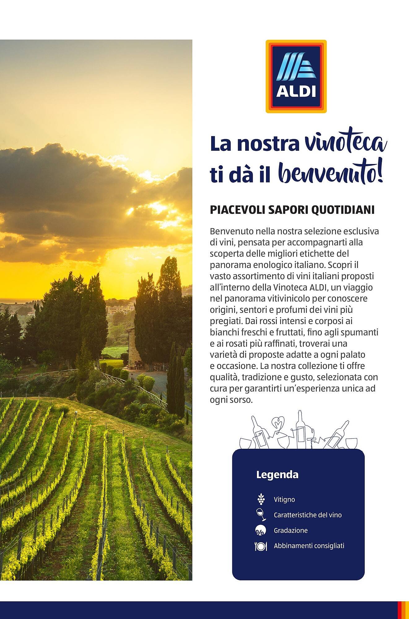 Volantino ALDI (2025-07-01 - 2025-10-01)