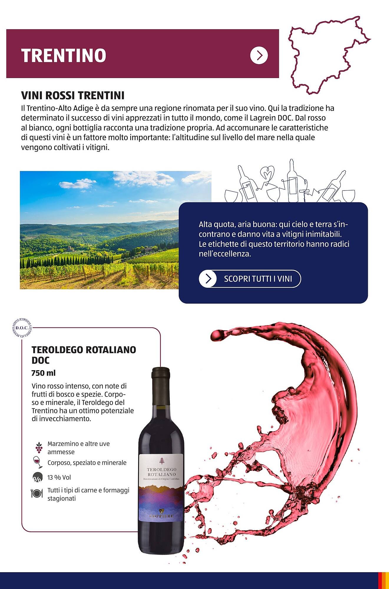 Volantino ALDI (2025-07-01 - 2025-10-01)