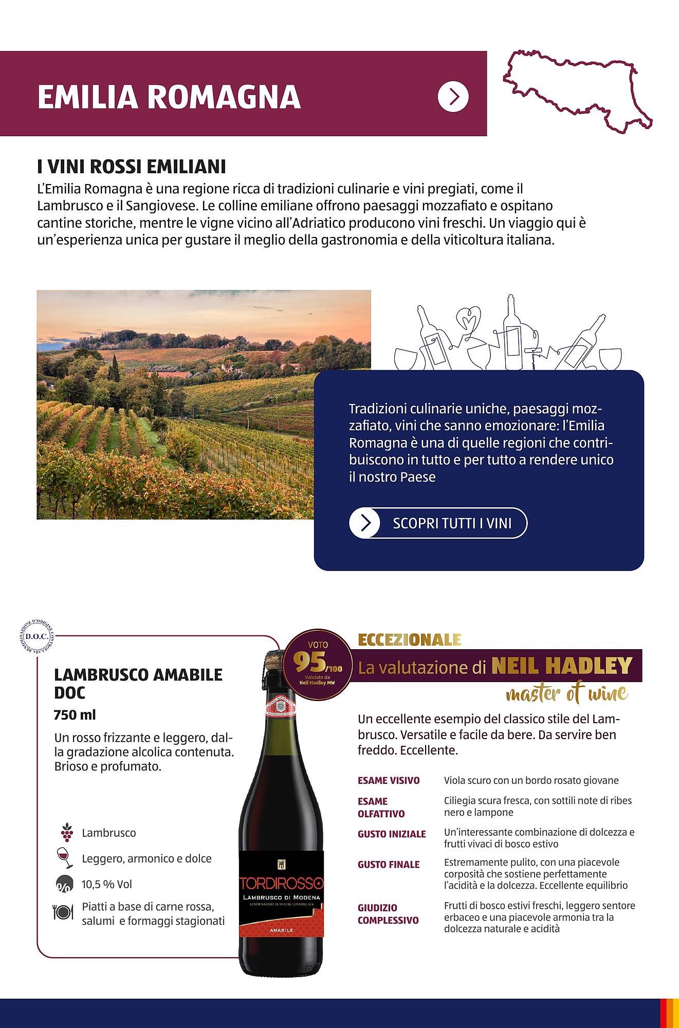 Volantino ALDI (2025-07-01 - 2025-10-01)