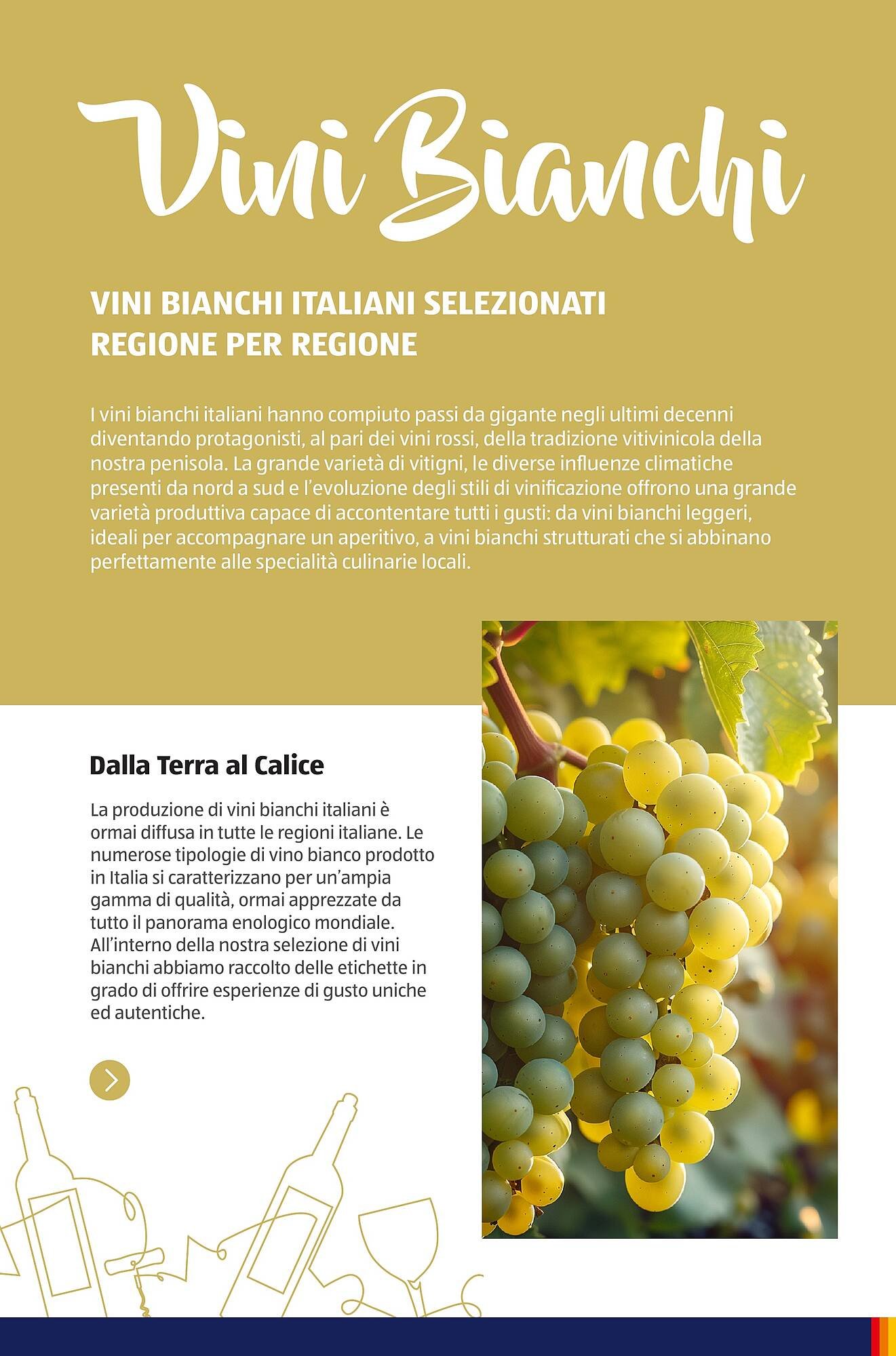 Volantino ALDI (2025-07-01 - 2025-10-01)