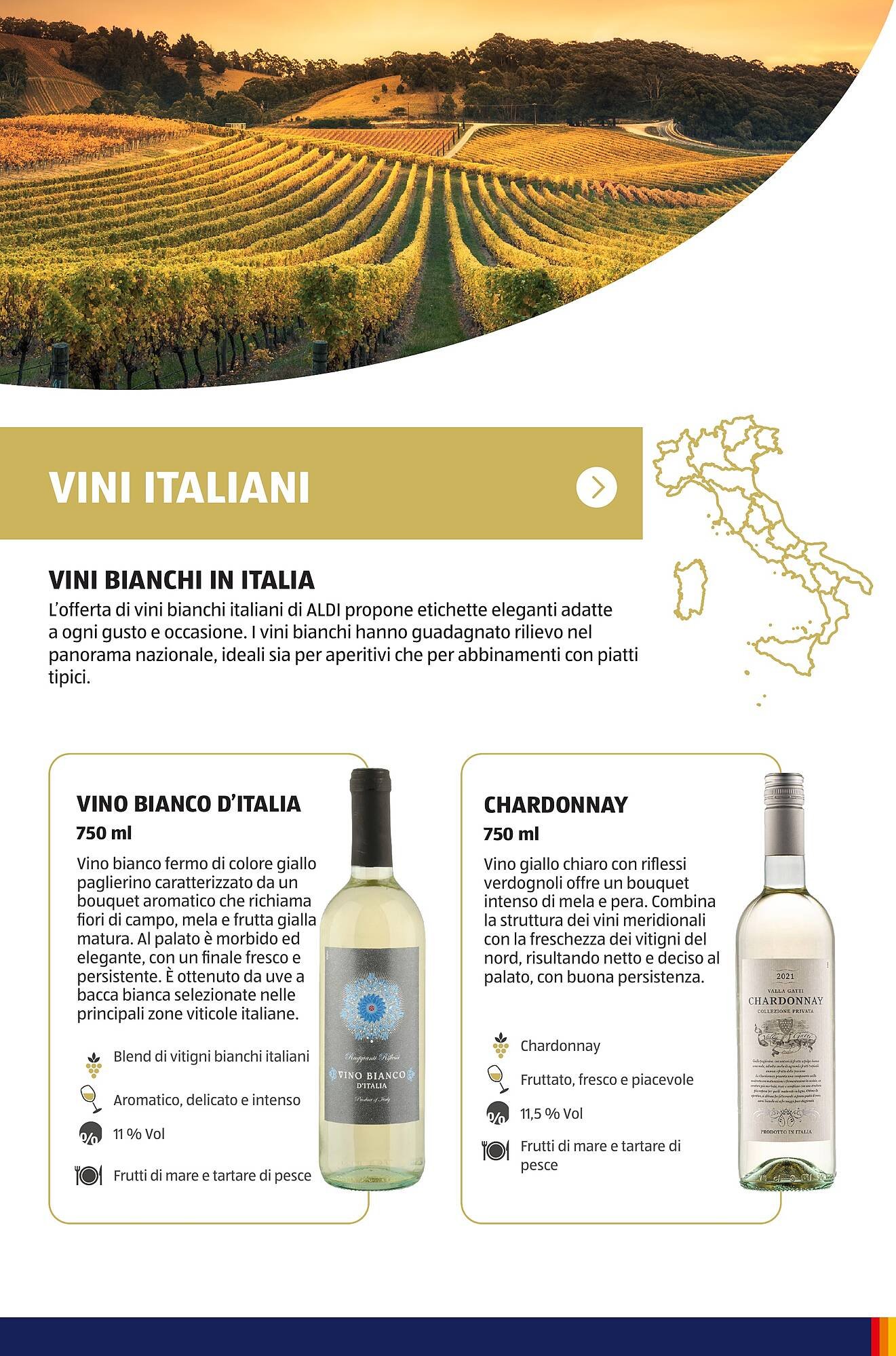 Volantino ALDI (2025-07-01 - 2025-10-01)