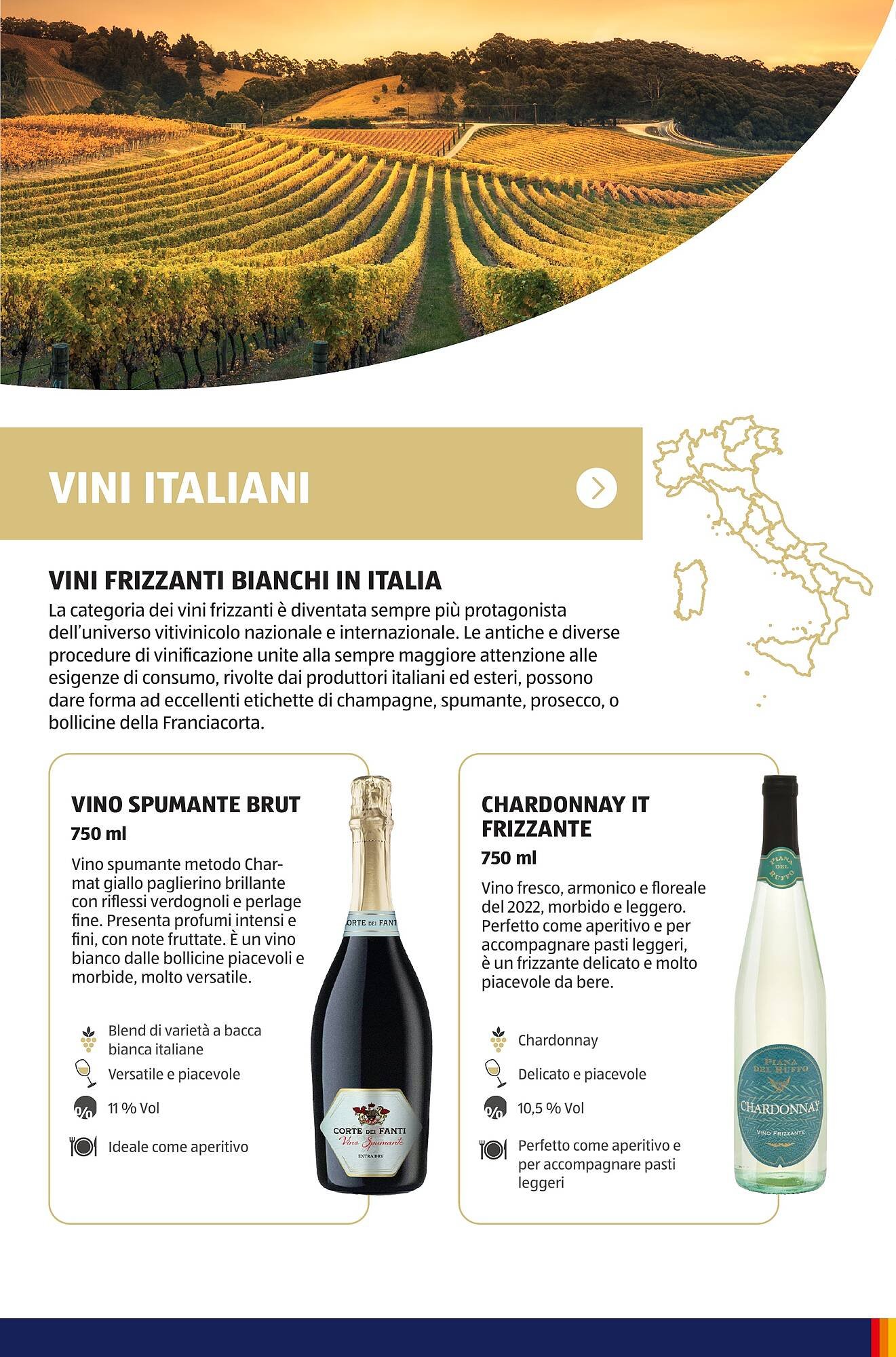 Volantino ALDI (2025-07-01 - 2025-10-01)