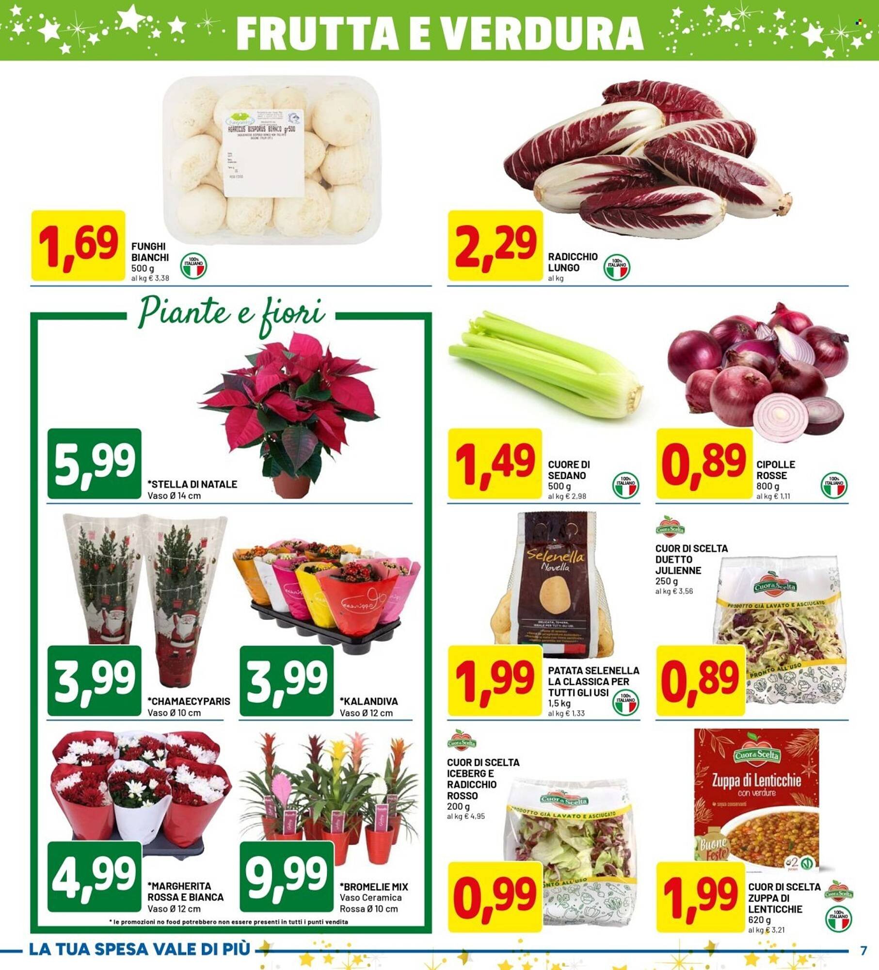 Volantino DPiù (2025-12-01 - 2025-12-10)