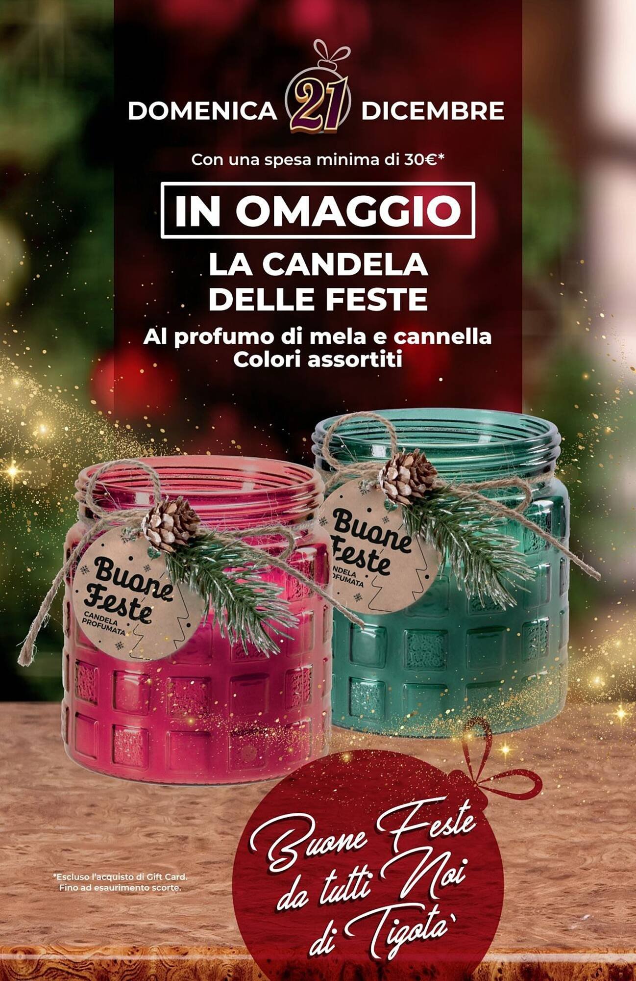 Volantino Tigotà (2025-12-01 - 2026-12-31)