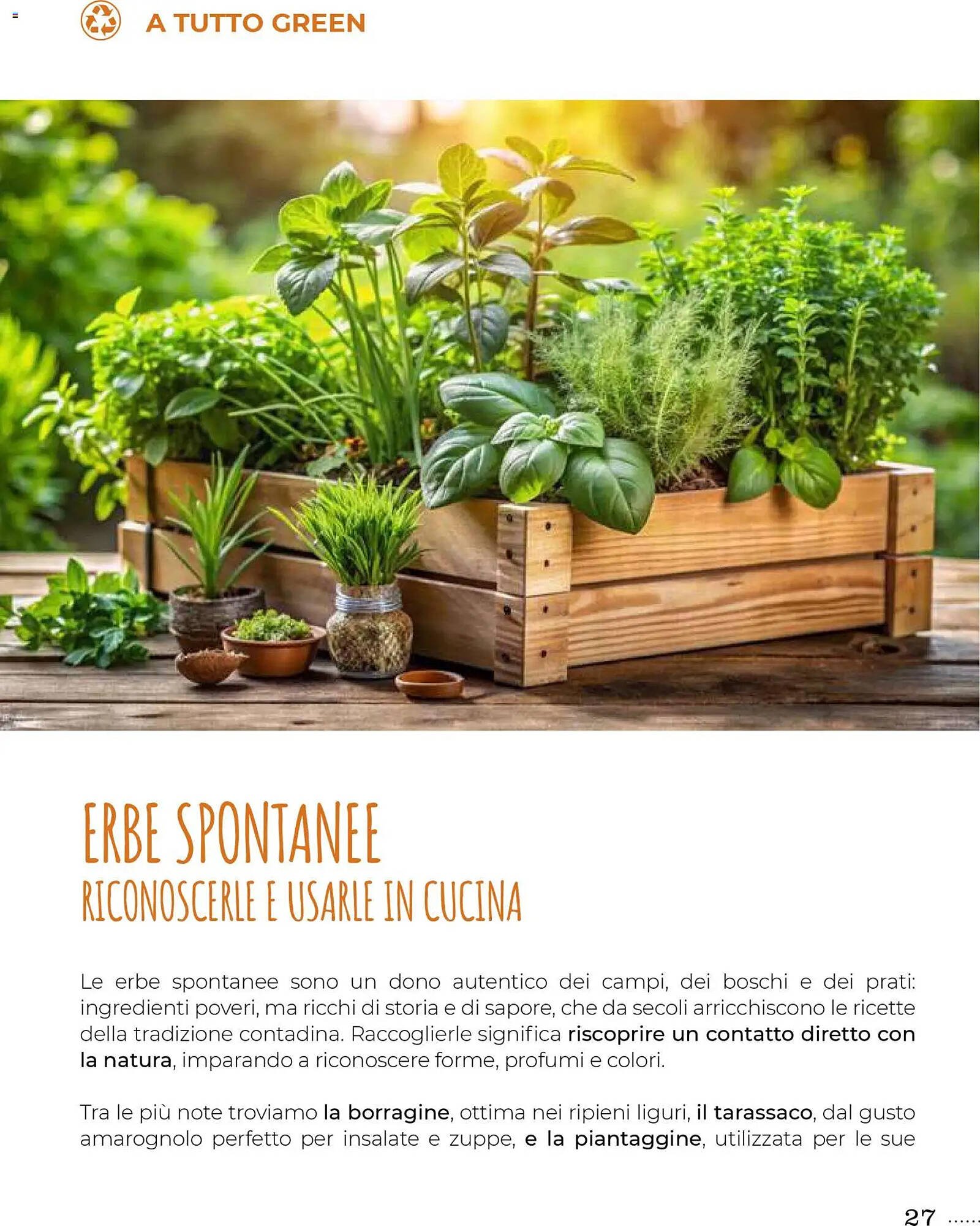 Volantino Supermercati Gulliver (2025-10-31 - 2025-11-30)