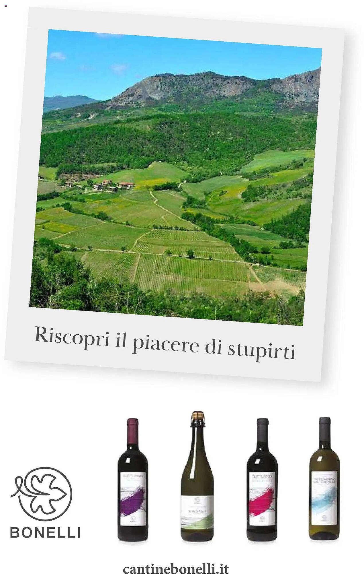 Volantino Supermercati Gulliver (2025-10-31 - 2025-11-30)