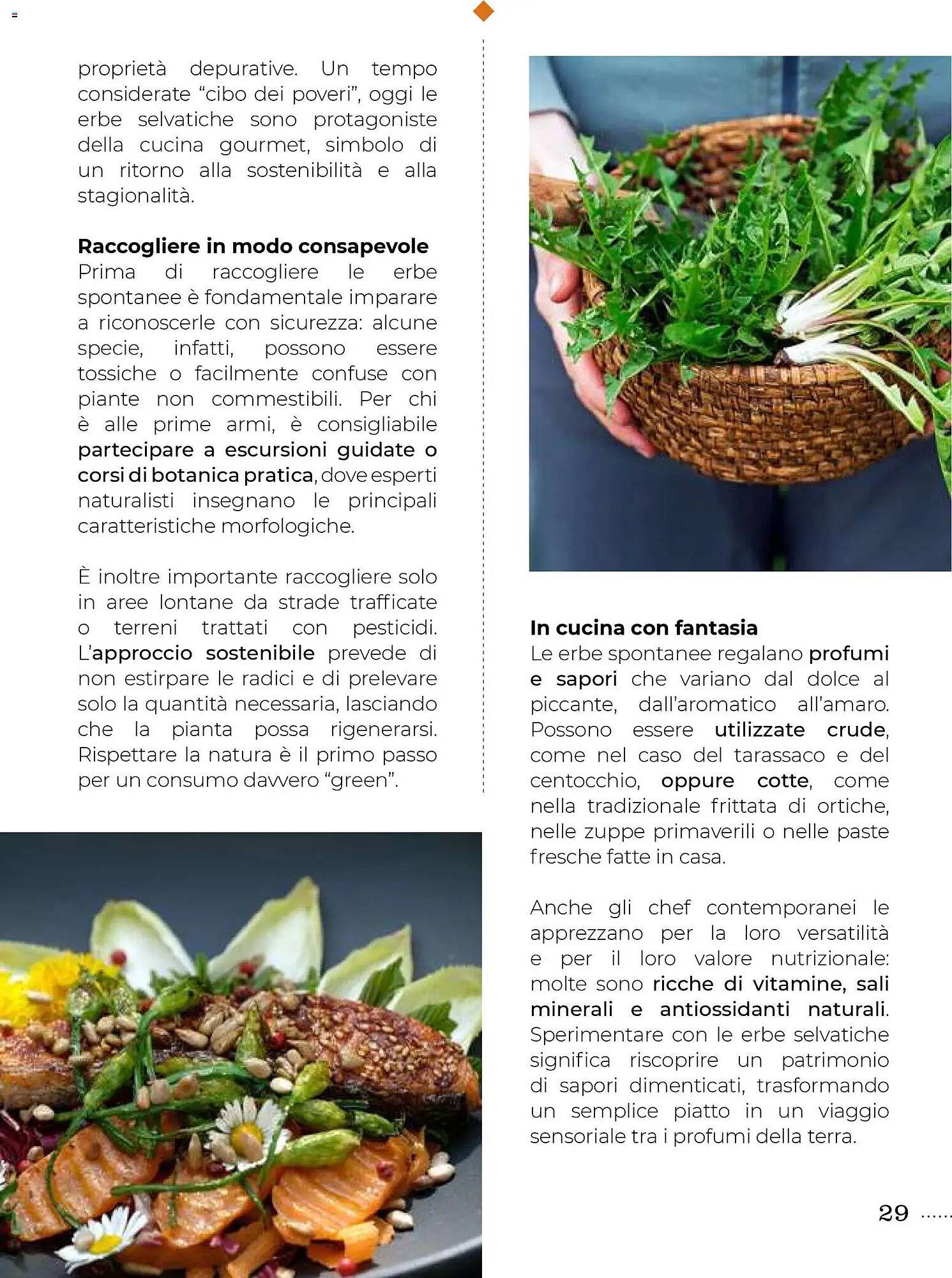 Volantino Supermercati Gulliver (2025-10-31 - 2025-11-30)