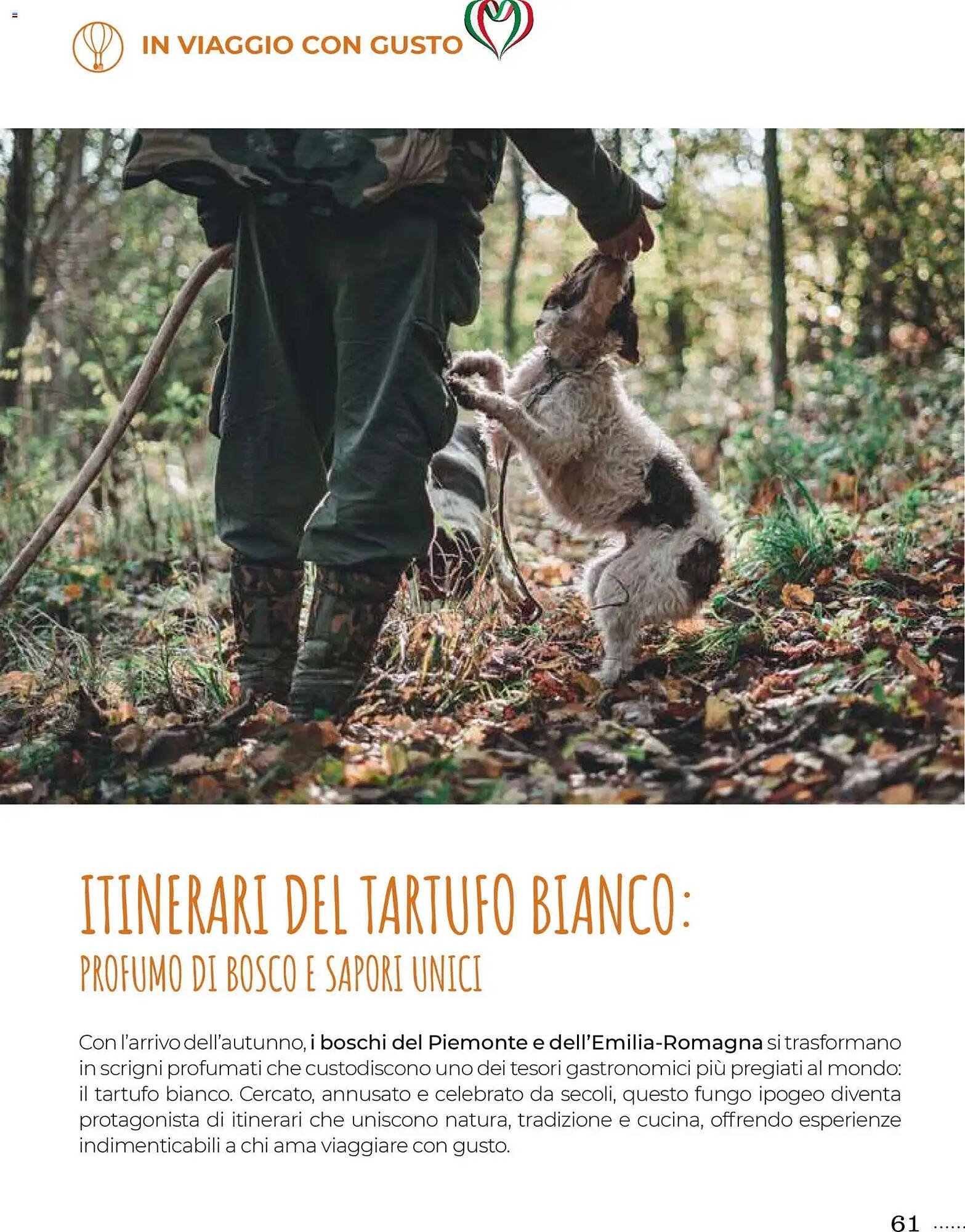 Volantino Supermercati Gulliver (2025-10-31 - 2025-11-30)