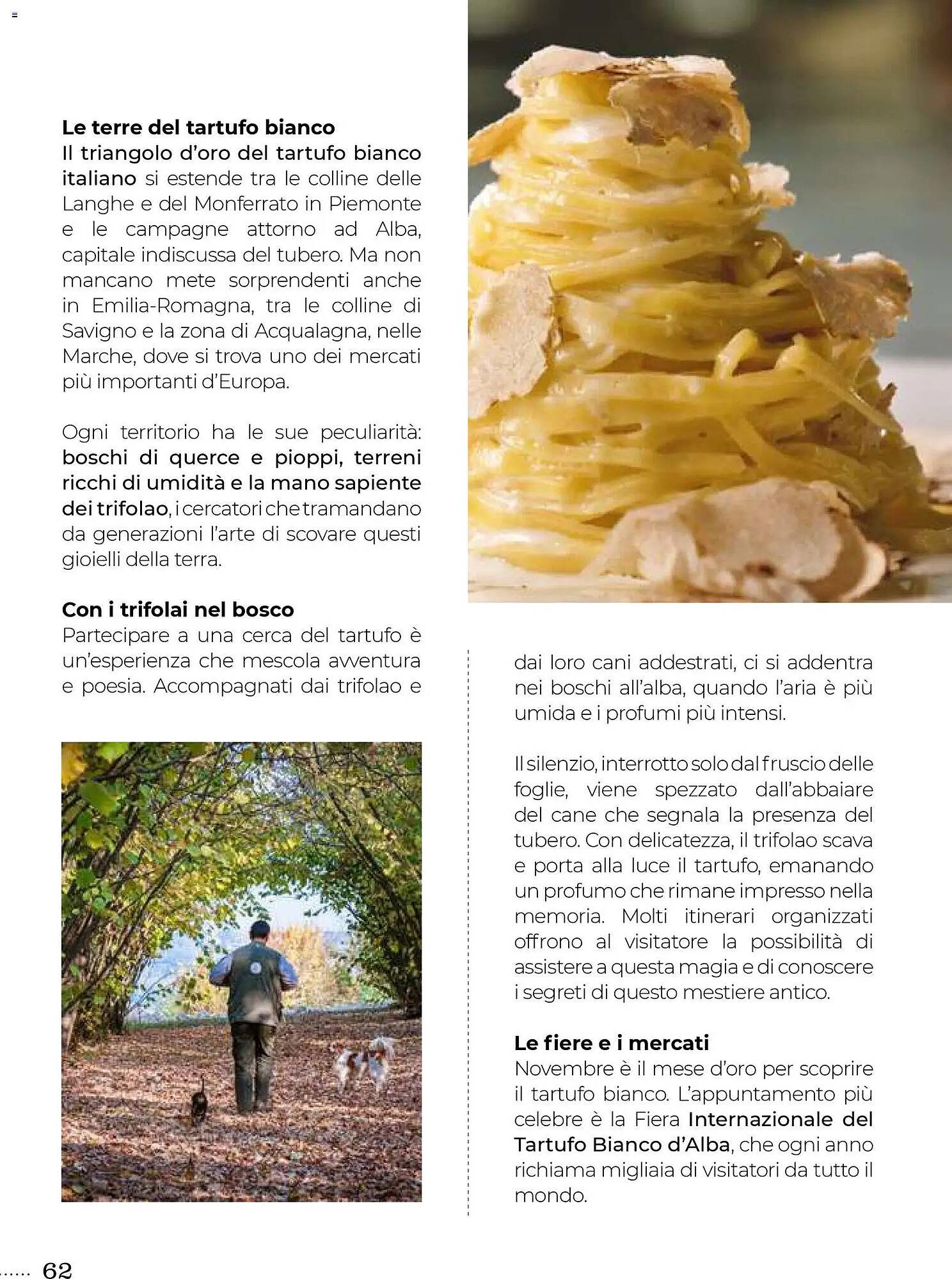 Volantino Supermercati Gulliver (2025-10-31 - 2025-11-30)