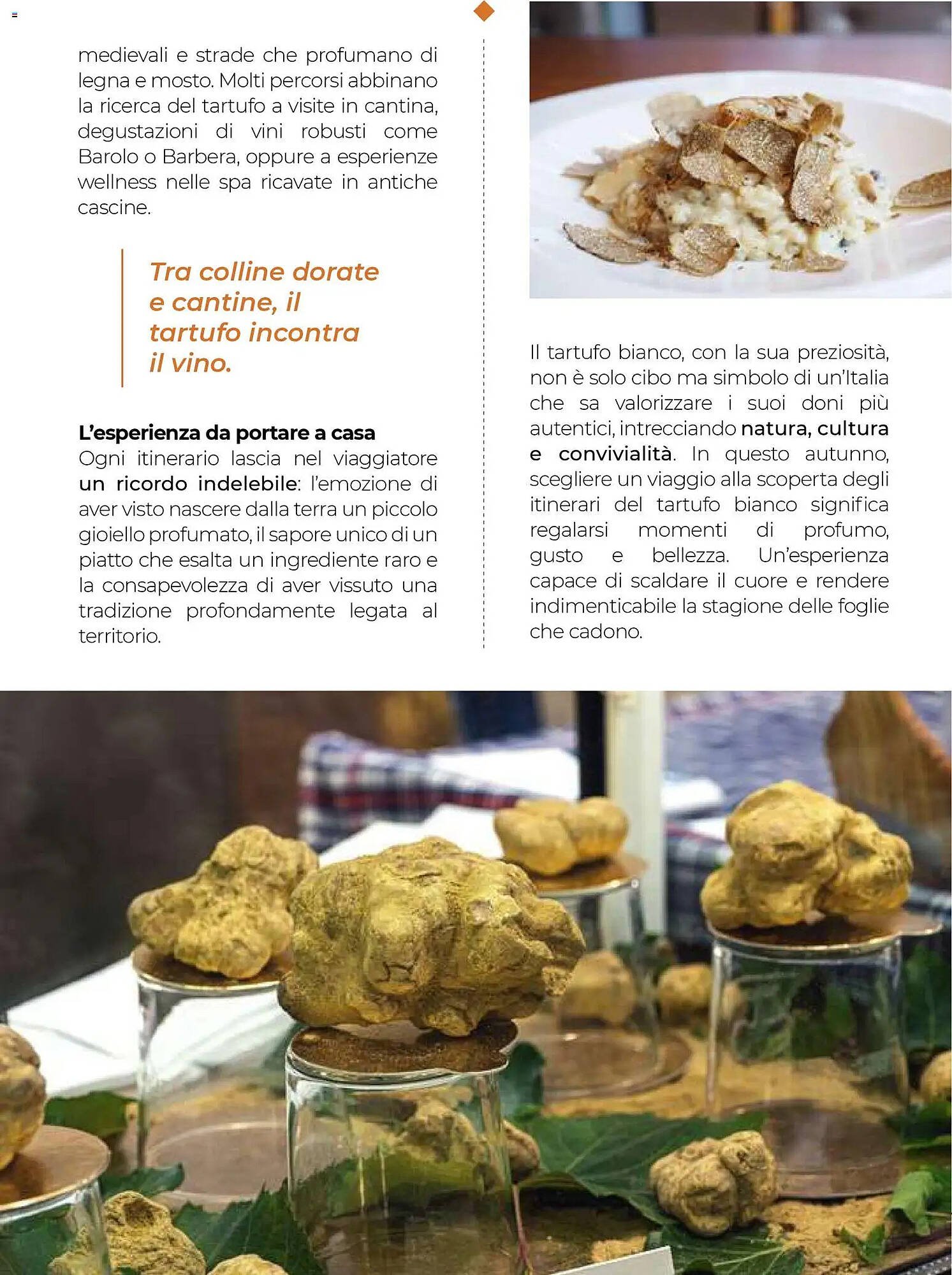 Volantino Supermercati Gulliver (2025-10-31 - 2025-11-30)