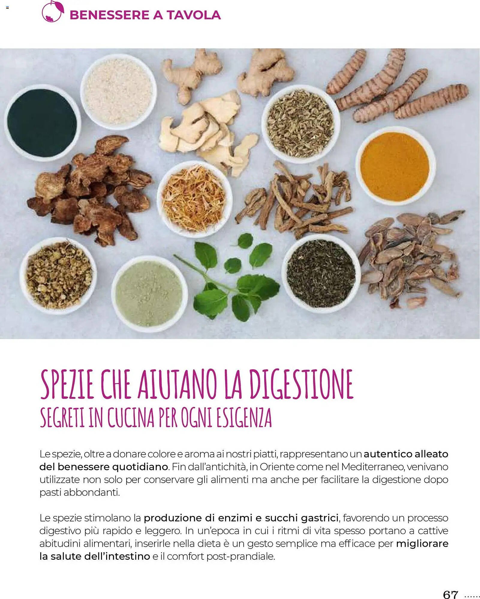 Volantino Supermercati Gulliver (2025-10-31 - 2025-11-30)