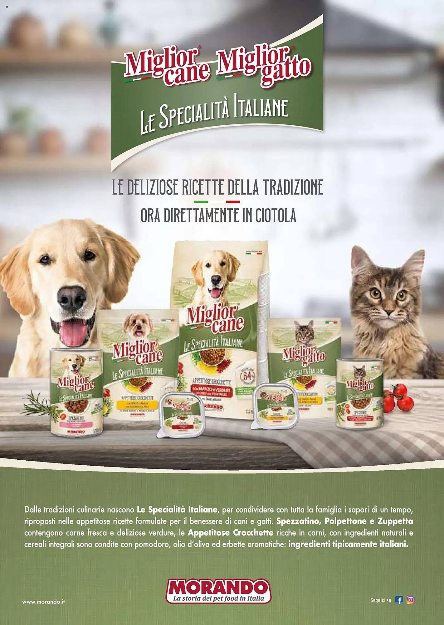 Volantino Supermercati Gulliver (2025-10-31 - 2025-11-30)