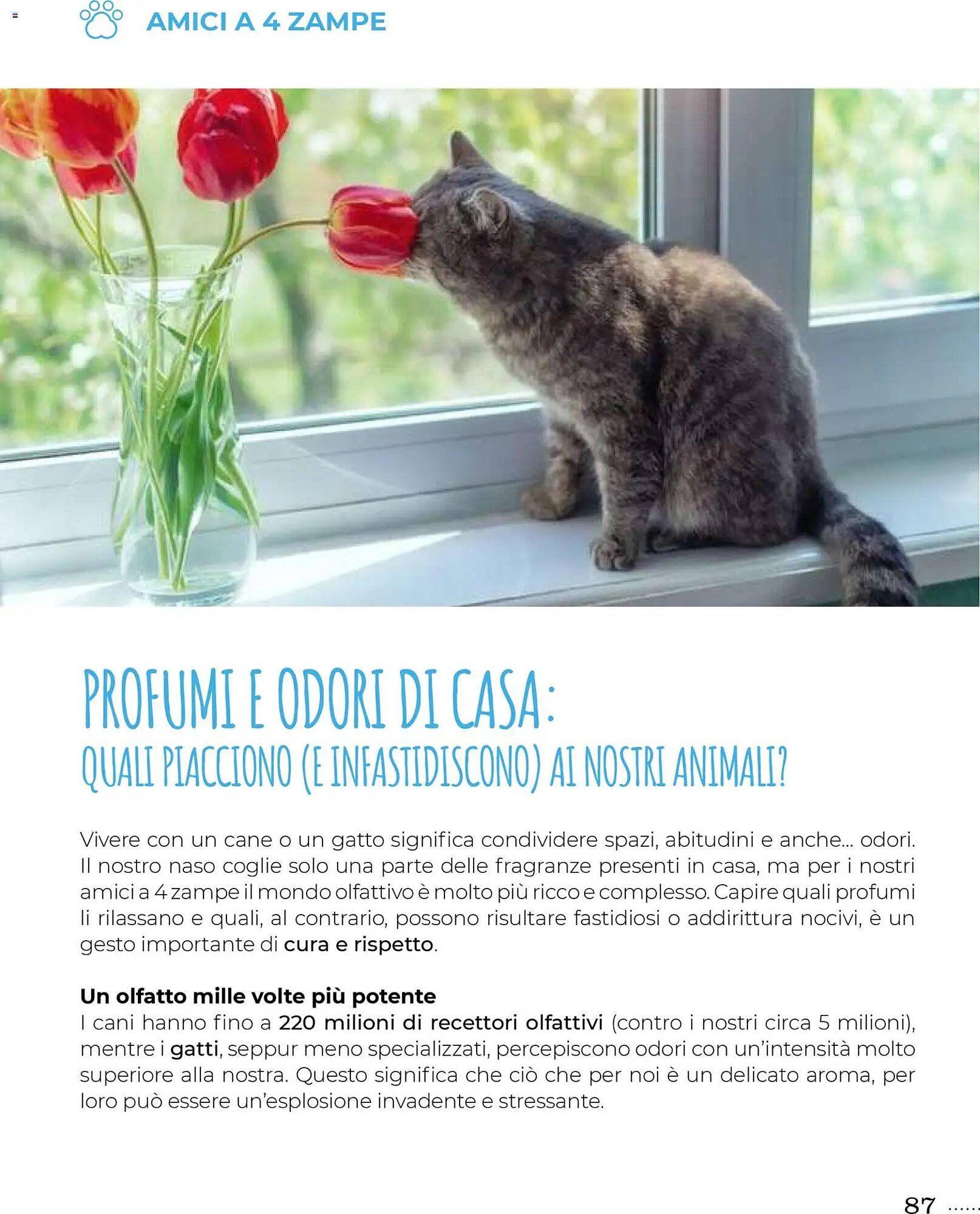 Volantino Supermercati Gulliver (2025-10-31 - 2025-11-30)